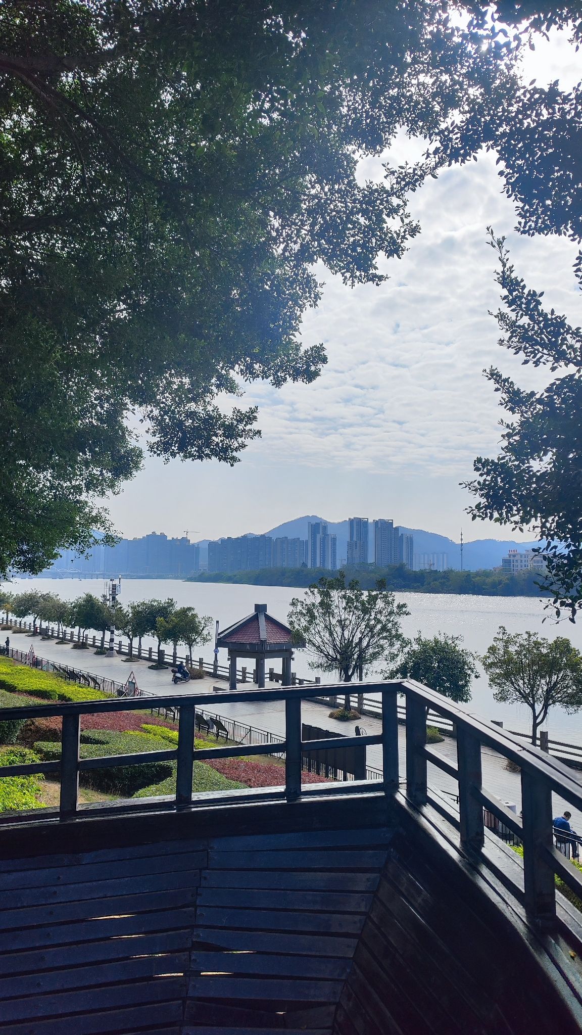 观海公园旅行图片 2