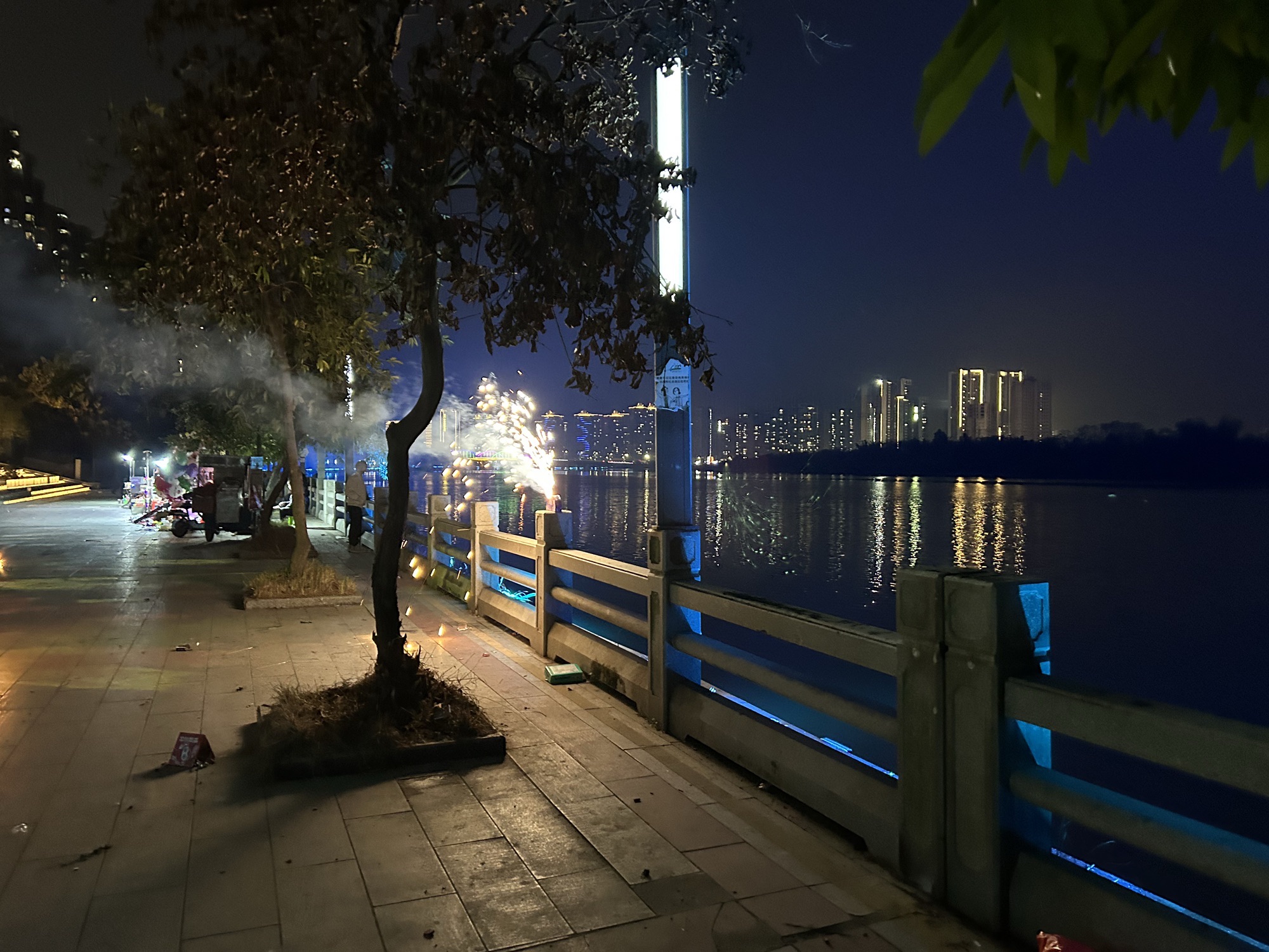 观海公园旅行图片 2
