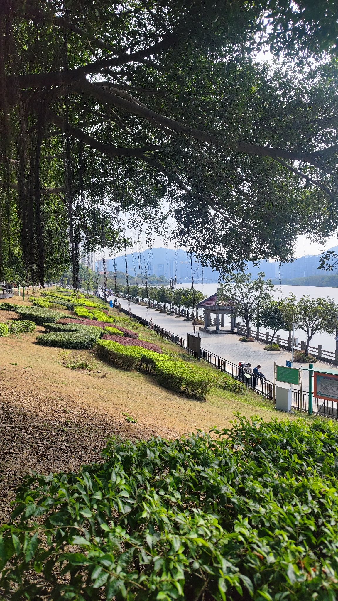 观海公园旅行图片 3