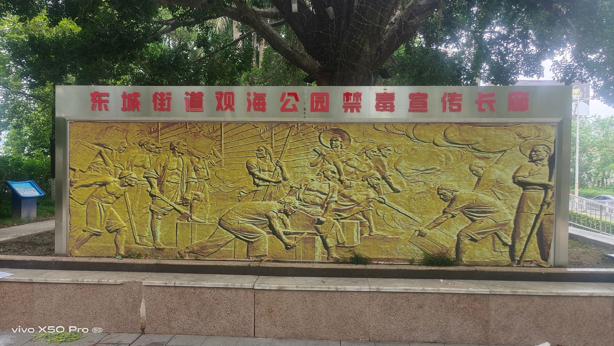 观海公园旅行图片 1