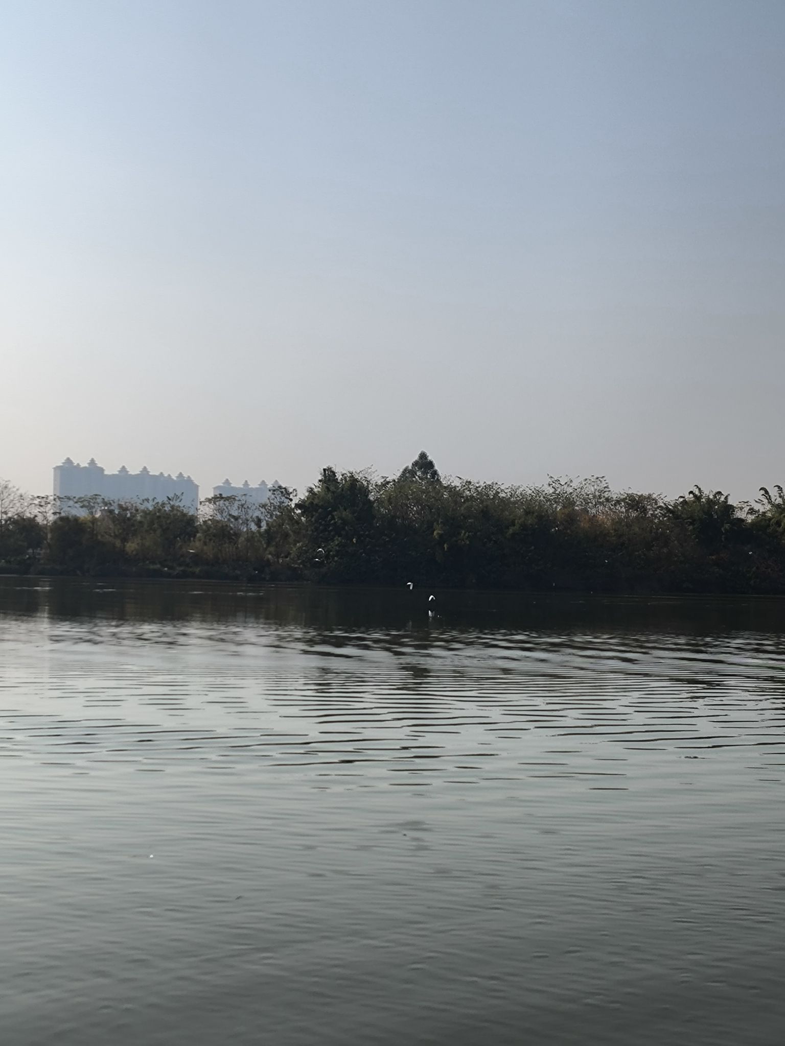 观海公园旅行图片 1