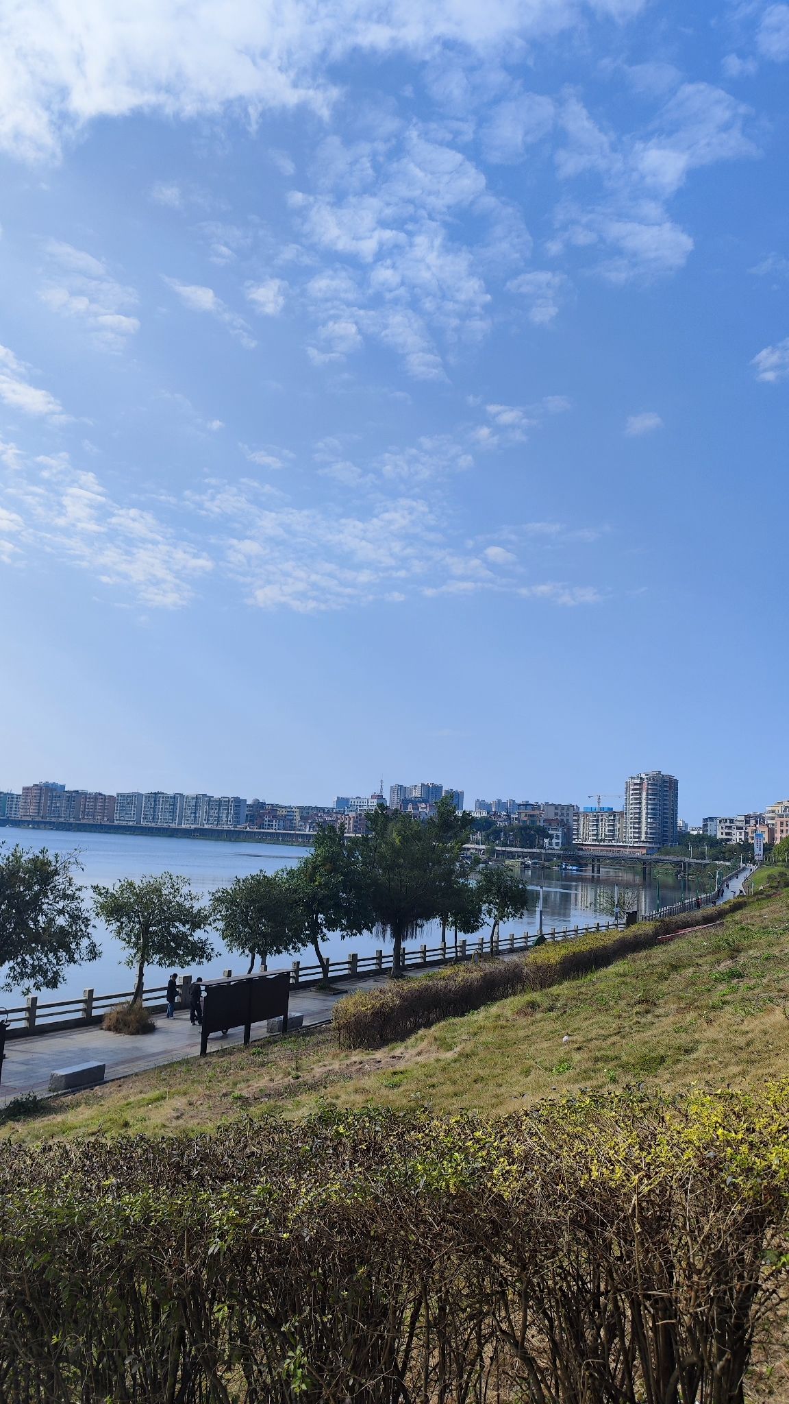 观海公园旅行图片 1