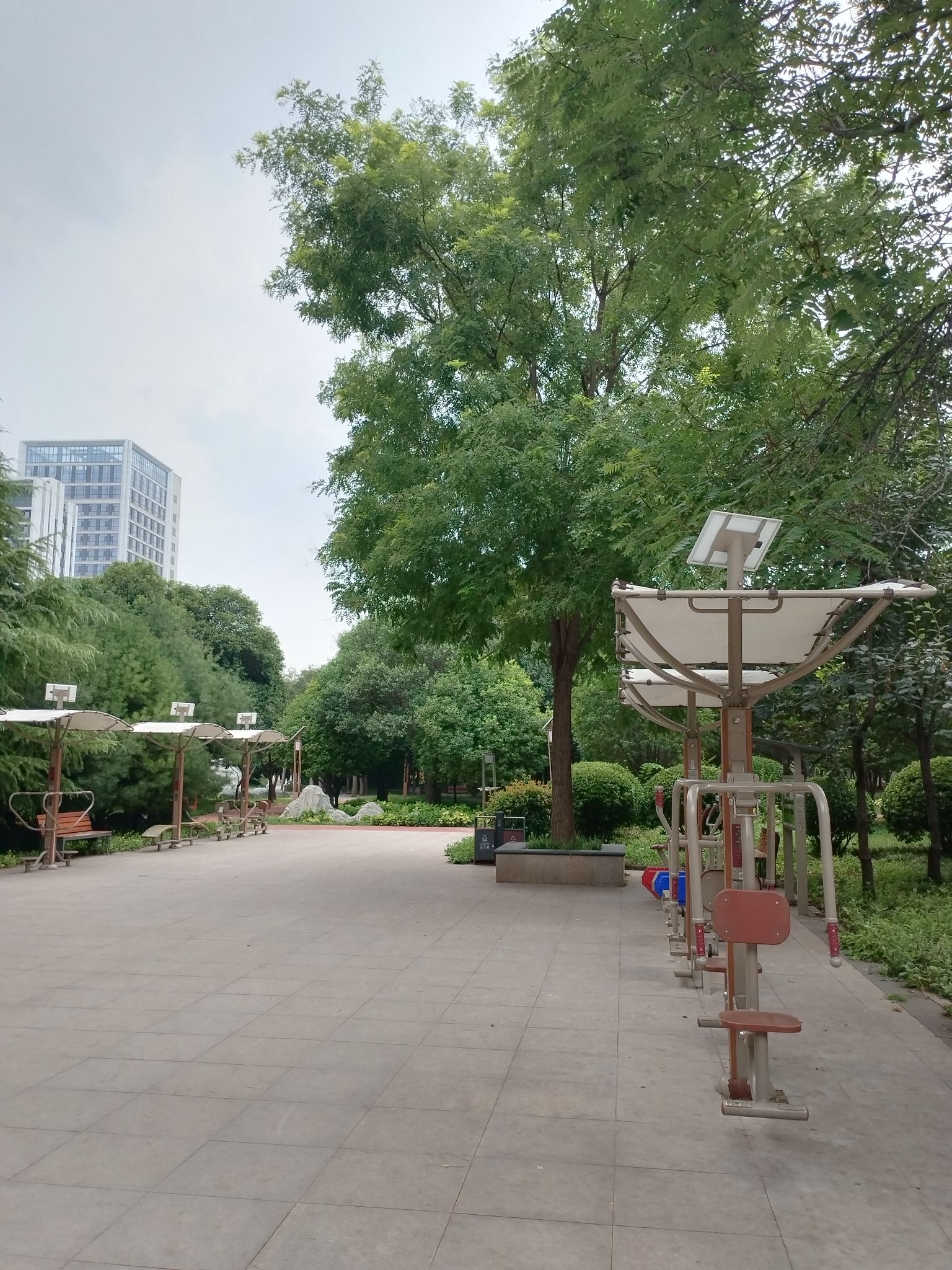 合欢园旅行图片 2