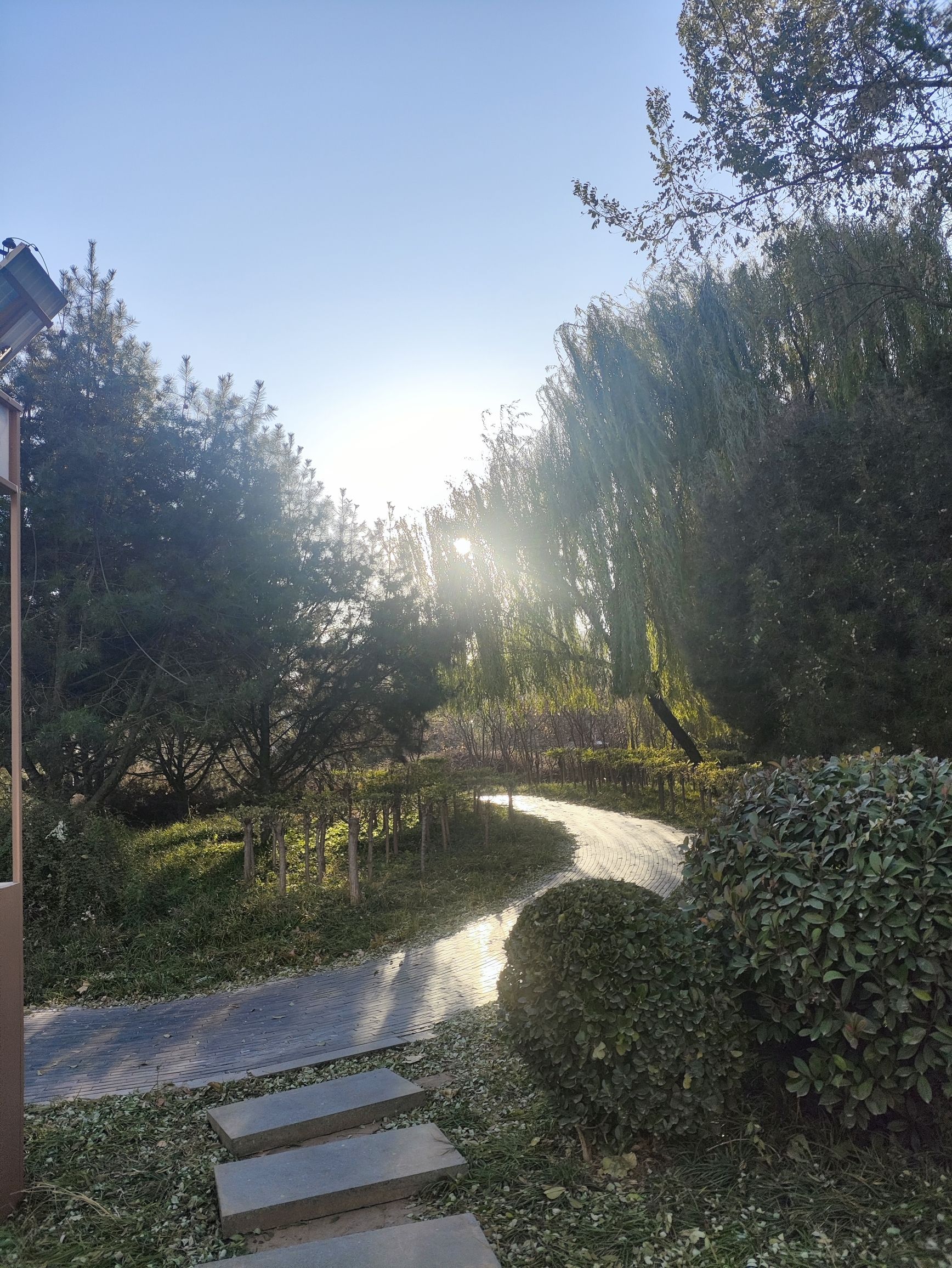 合欢园旅行图片 2