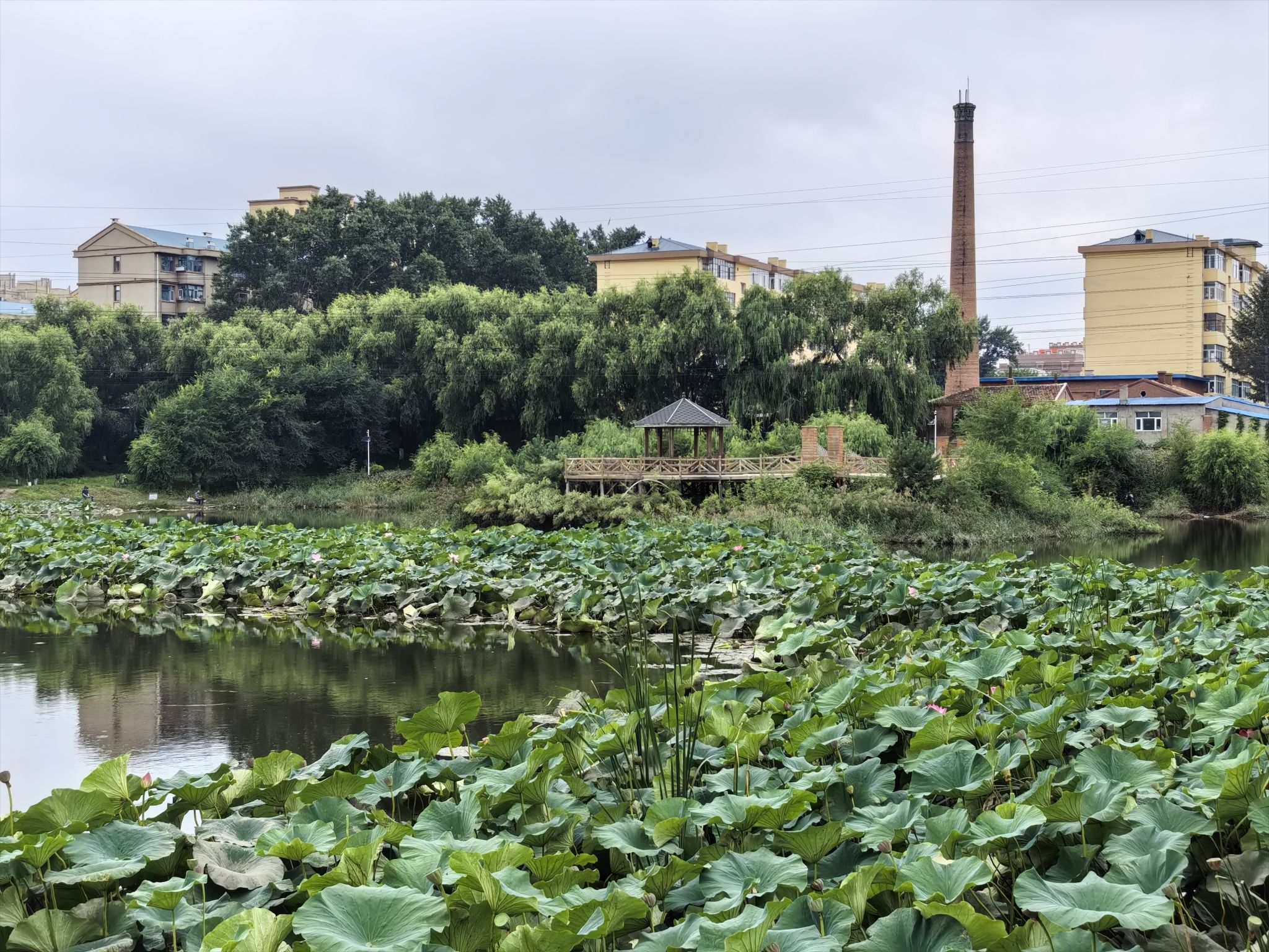 东湖公园