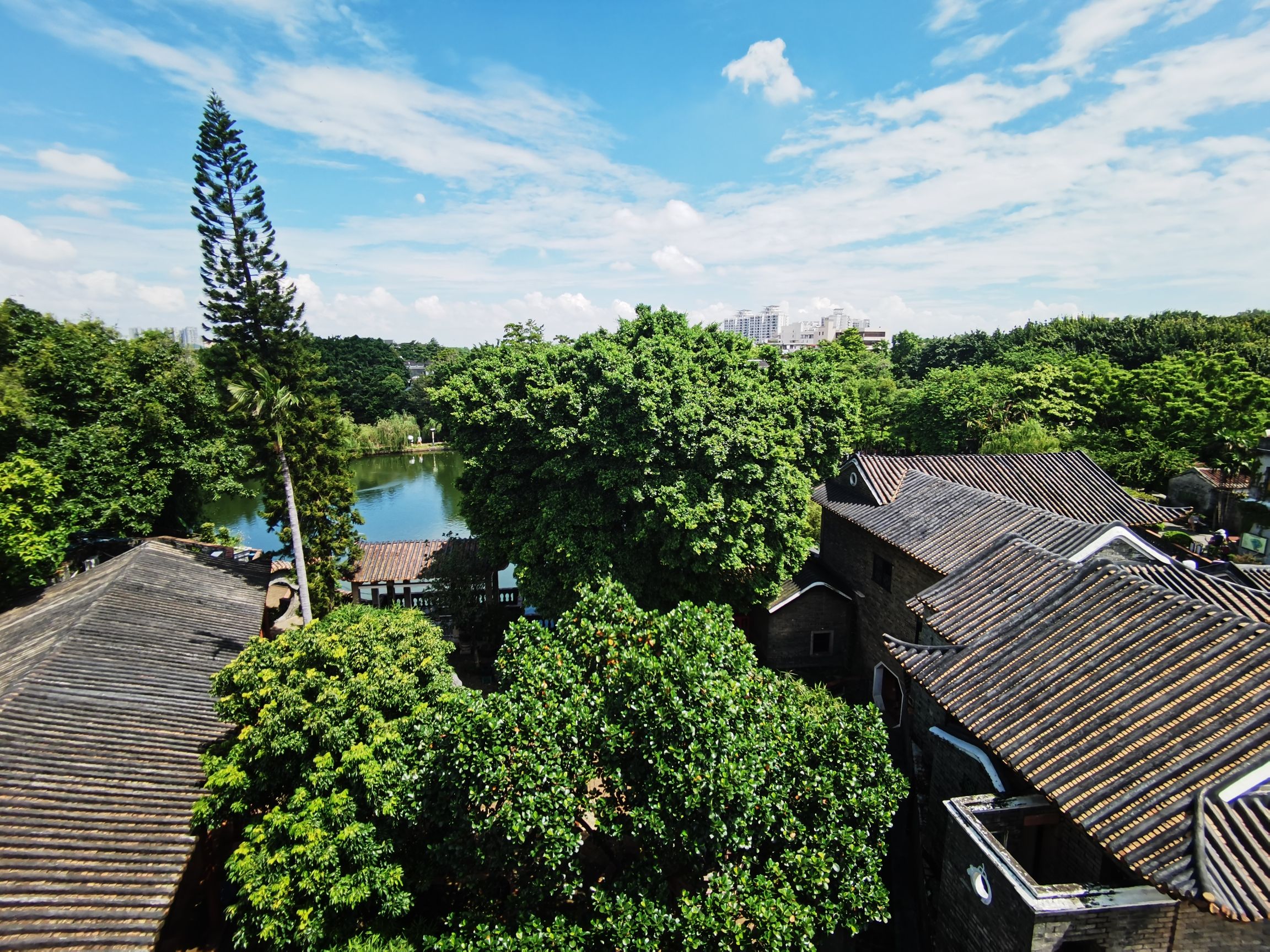 东湖公园旅行图片 1