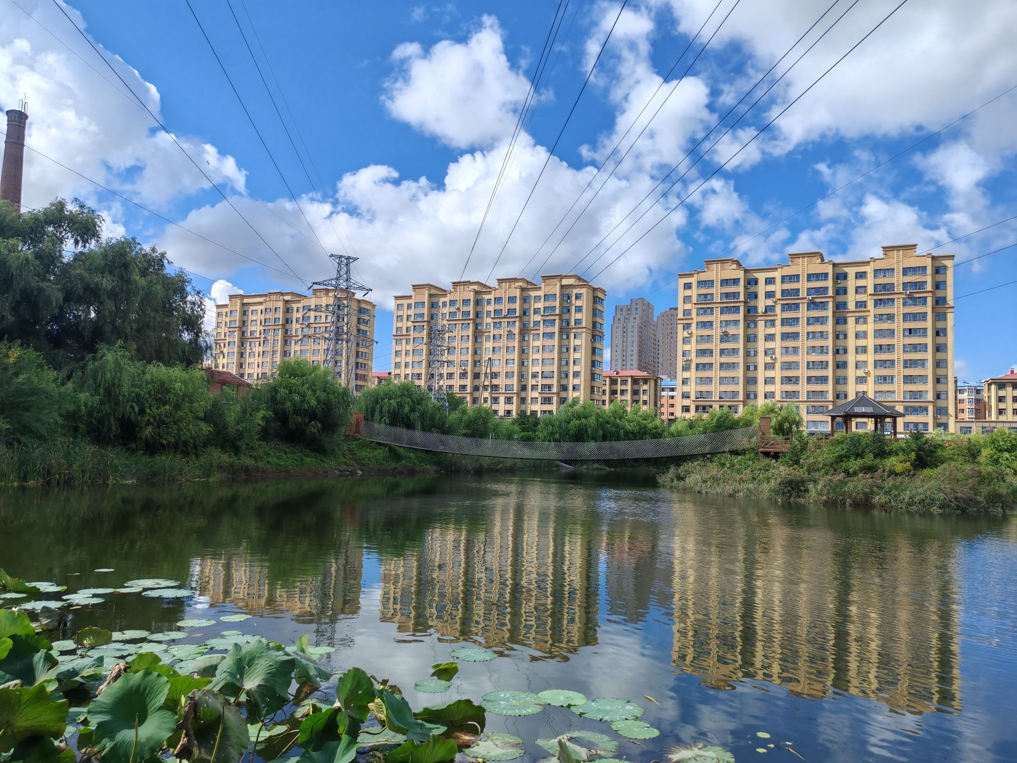 东湖公园旅行图片 1