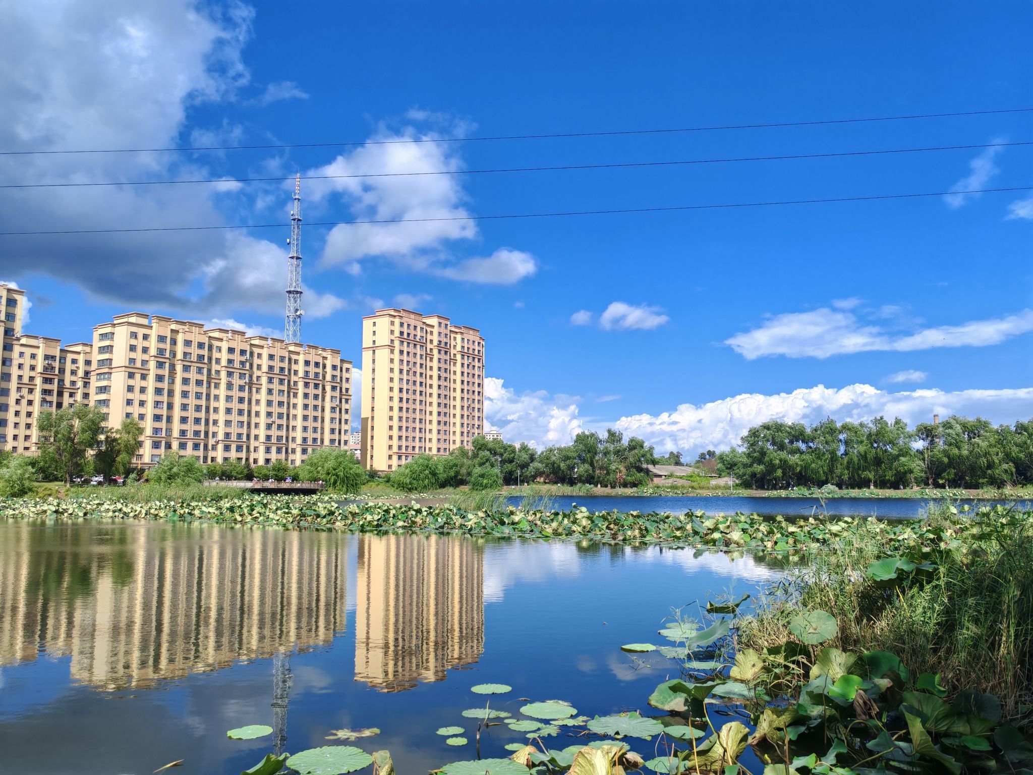 东湖公园旅行图片 3