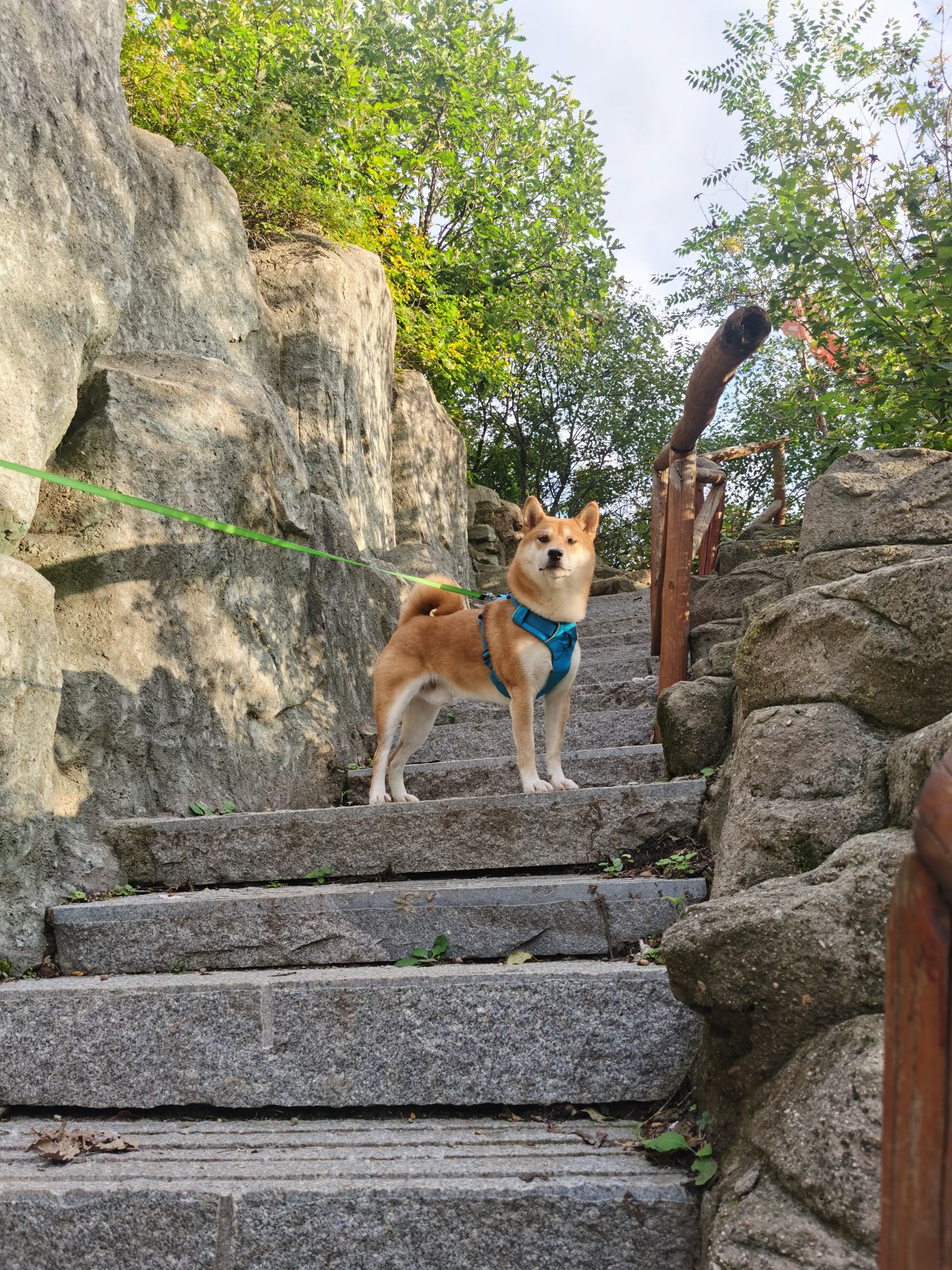 远洋城山顶公园旅行图片 3