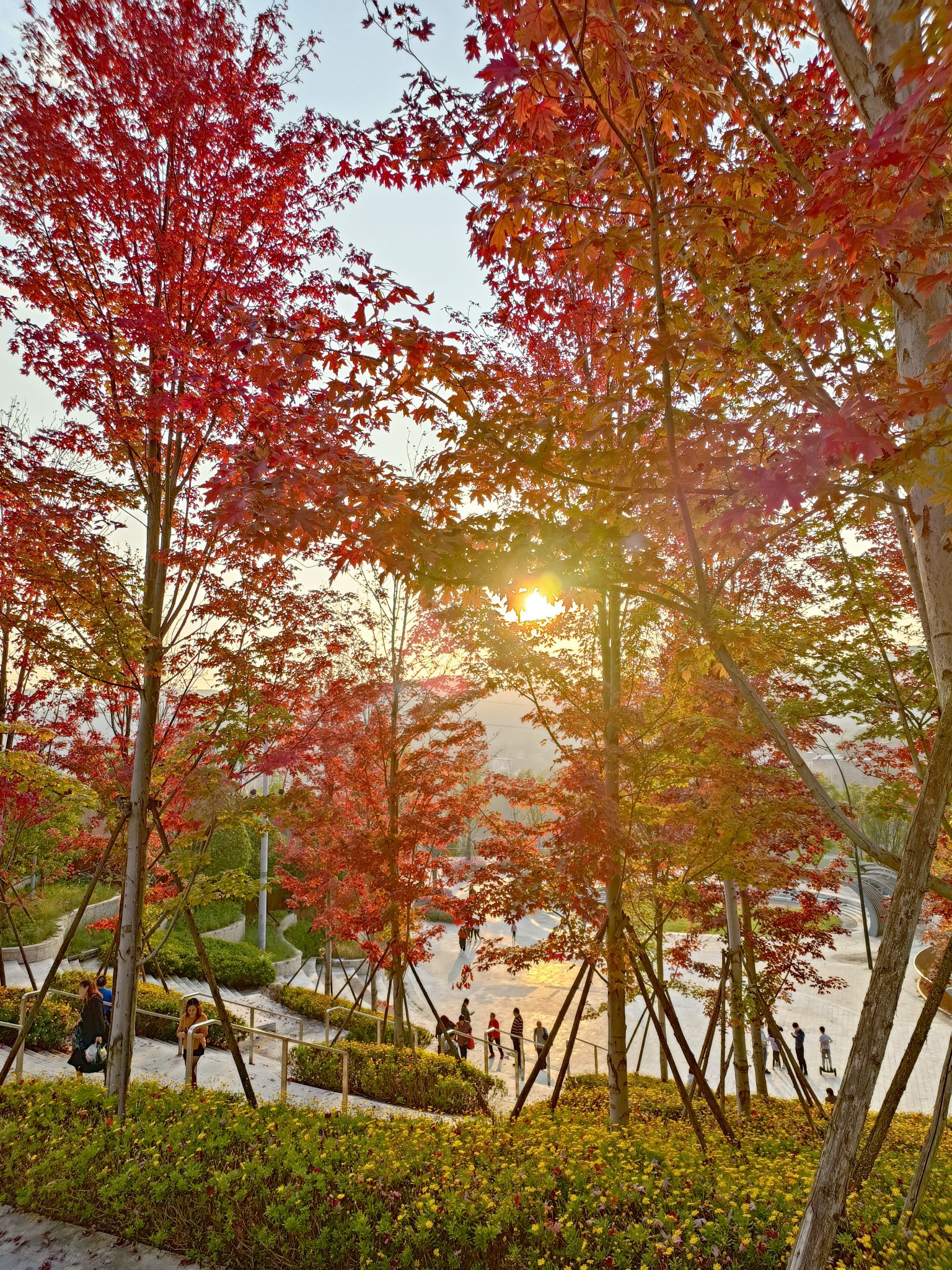 柳家坝滨江湿地公园旅行图片 2