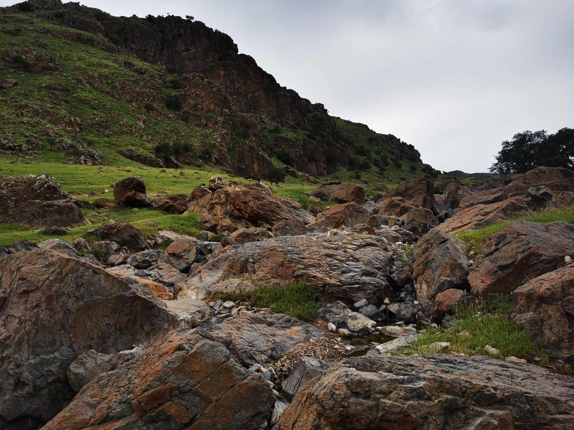 嫦娥山人面岩画旅游景区旅行图片 3