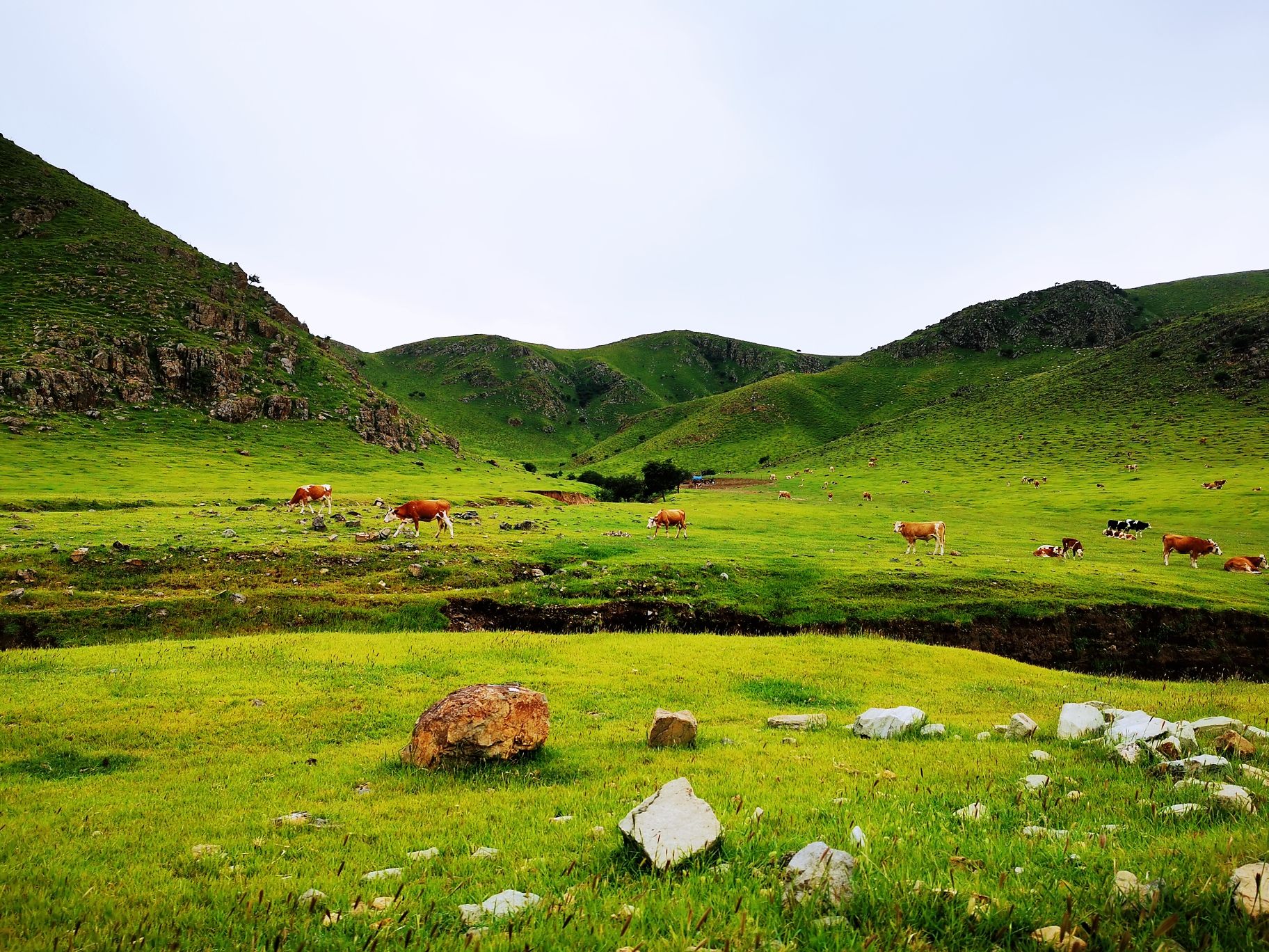 嫦娥山人面岩画旅游景区旅行图片 1