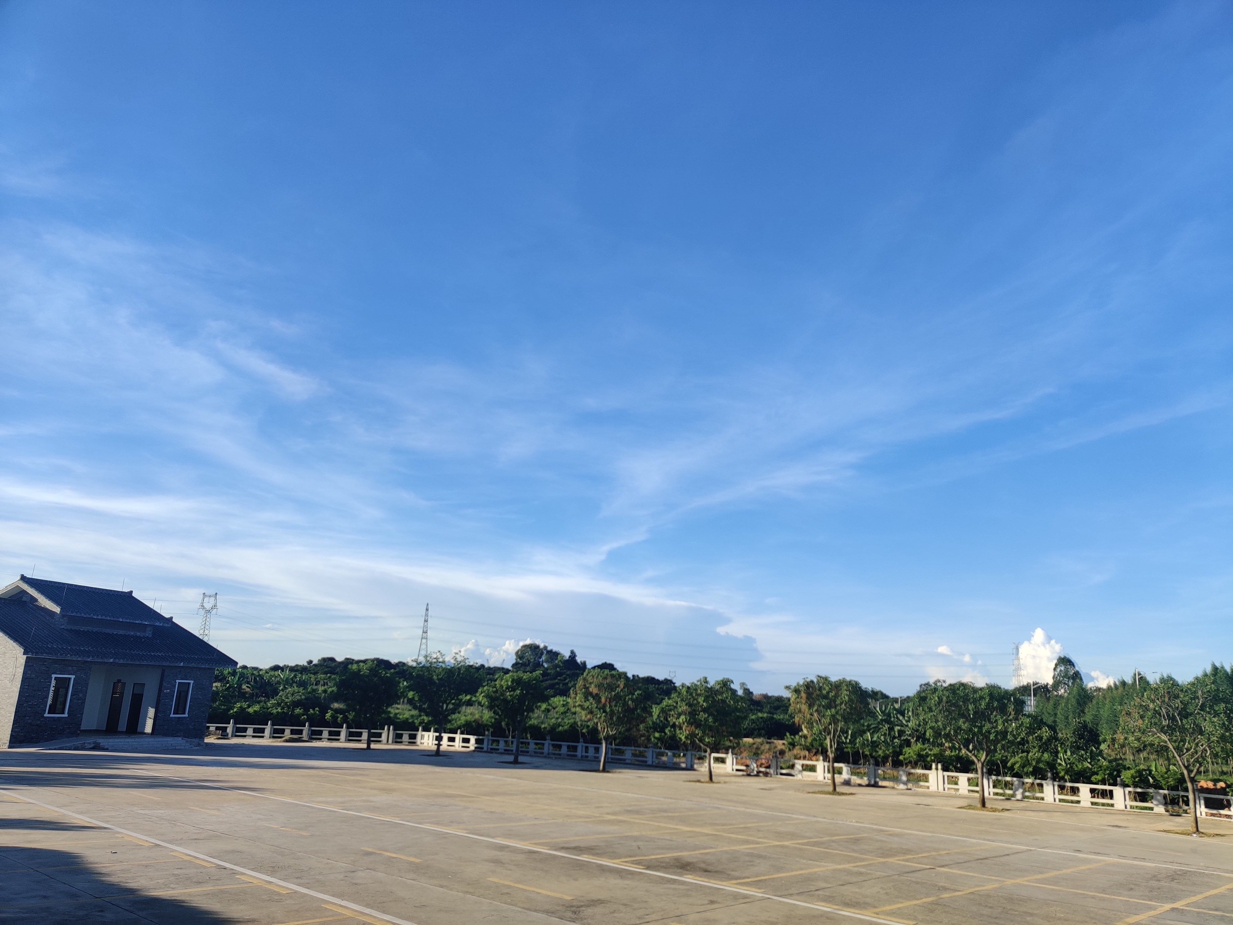 电白荔枝公园旅行图片 2