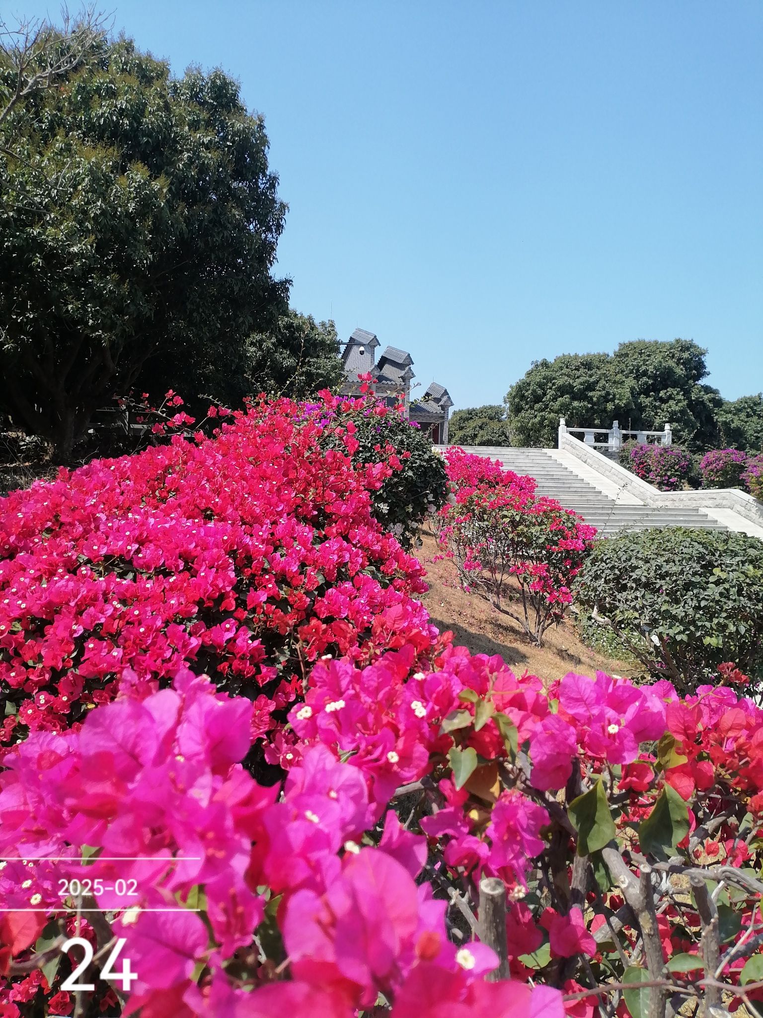 电白荔枝公园旅行图片 3