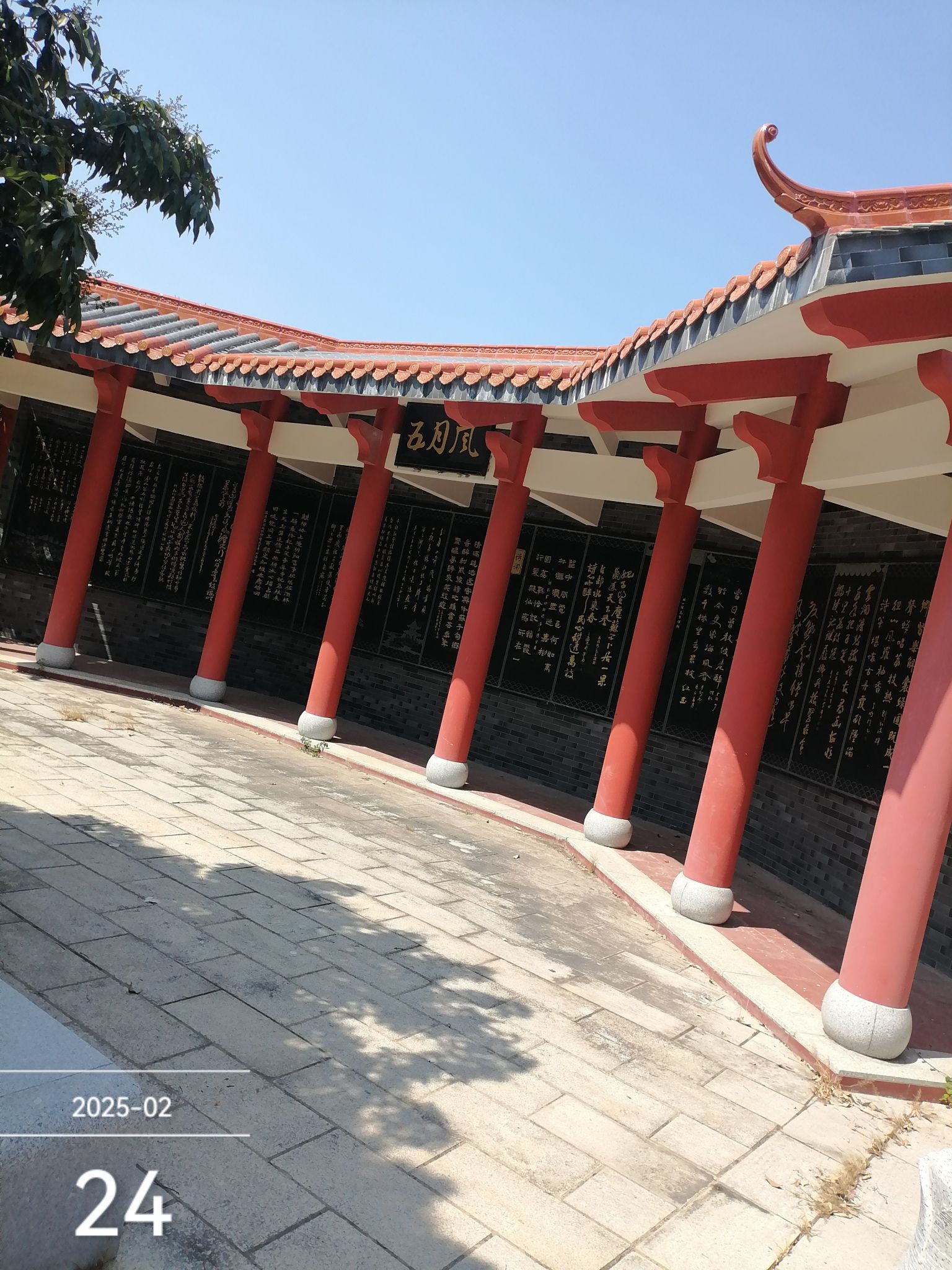 电白荔枝公园旅行图片 2