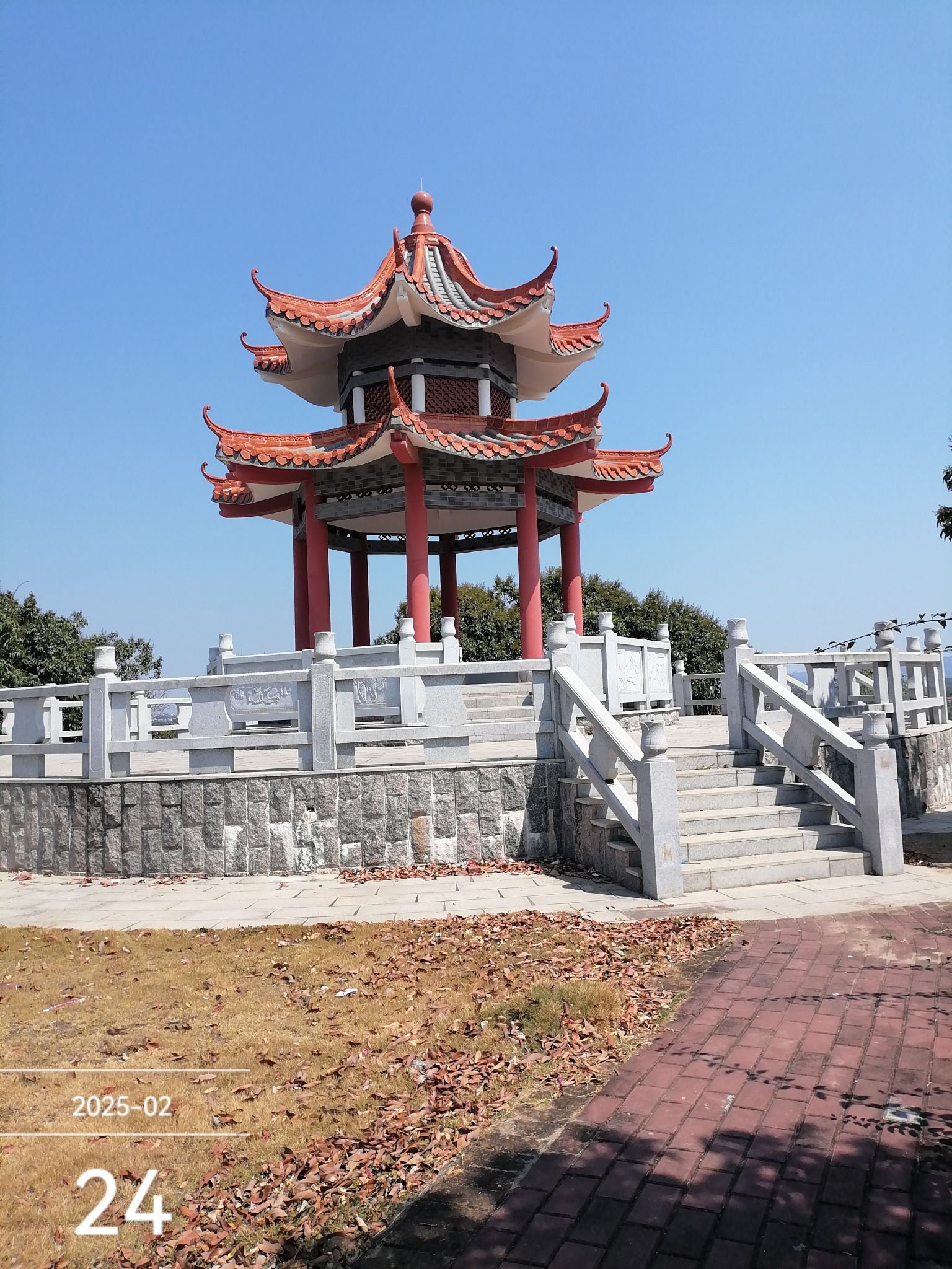 电白荔枝公园旅行图片 1