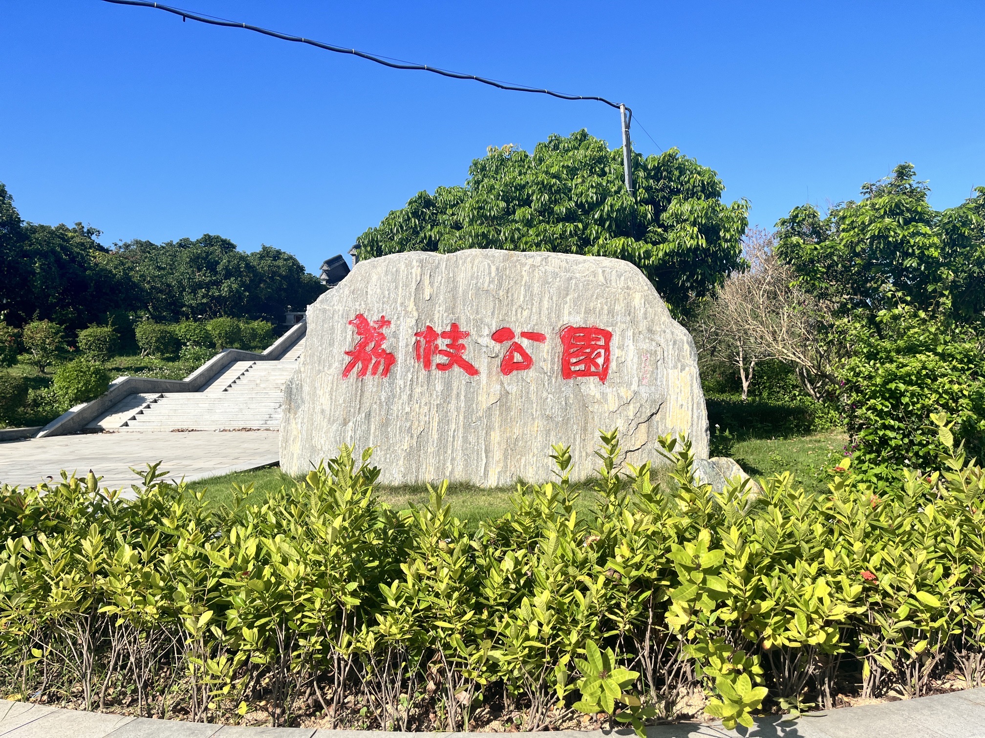 电白荔枝公园旅行图片 1
