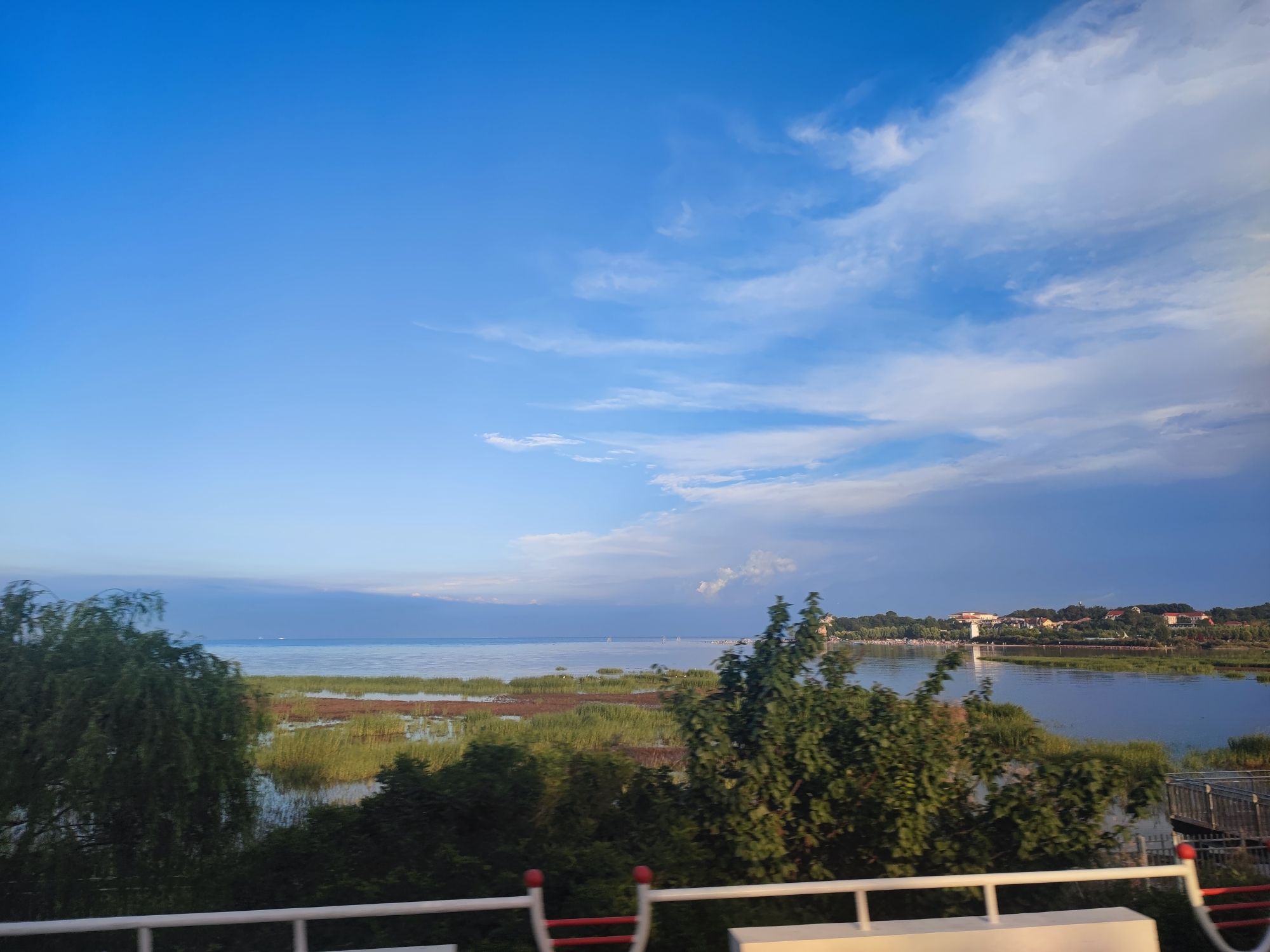 观鸟湿地旅行图片 1