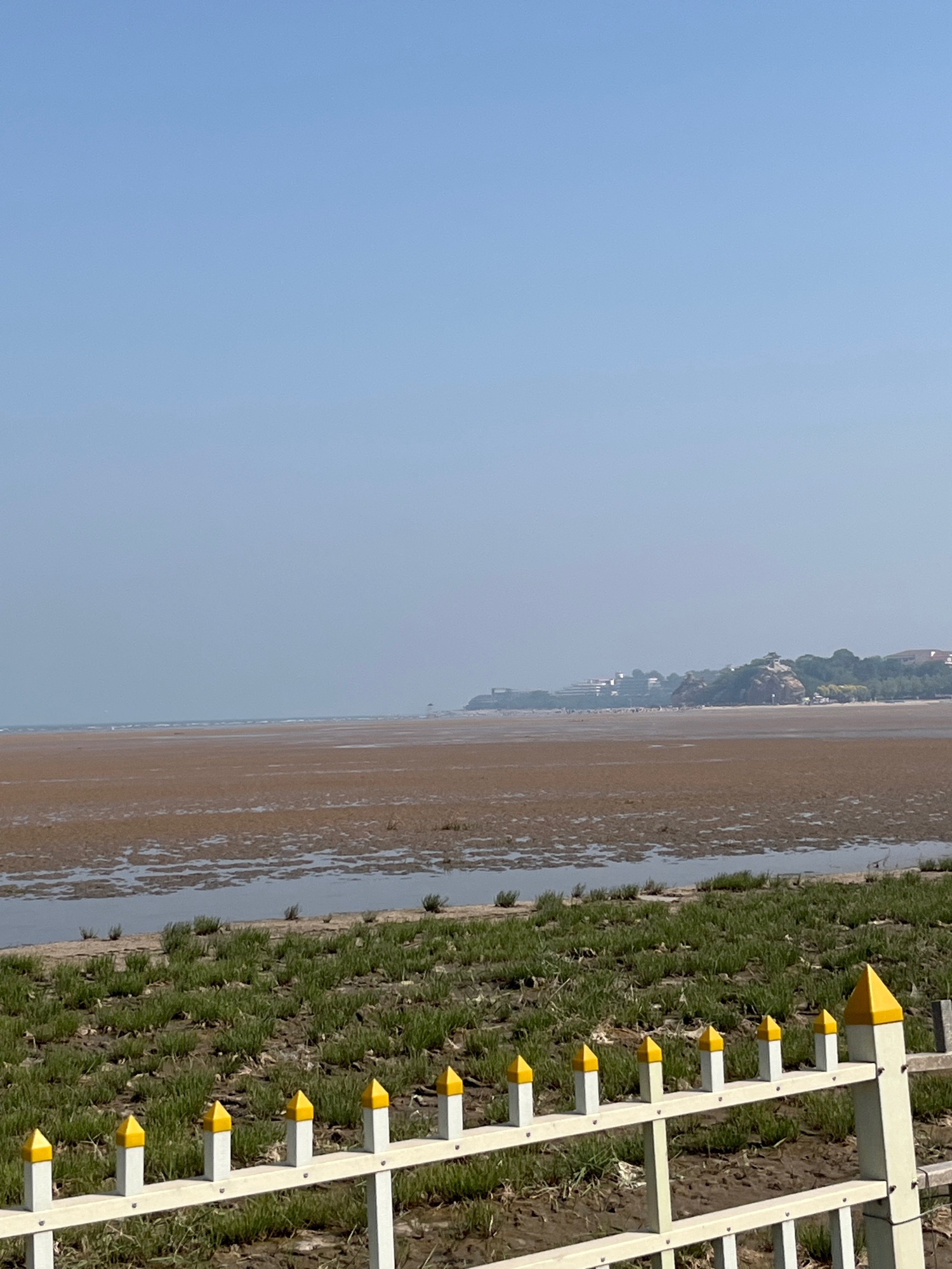 观鸟湿地旅行图片 2