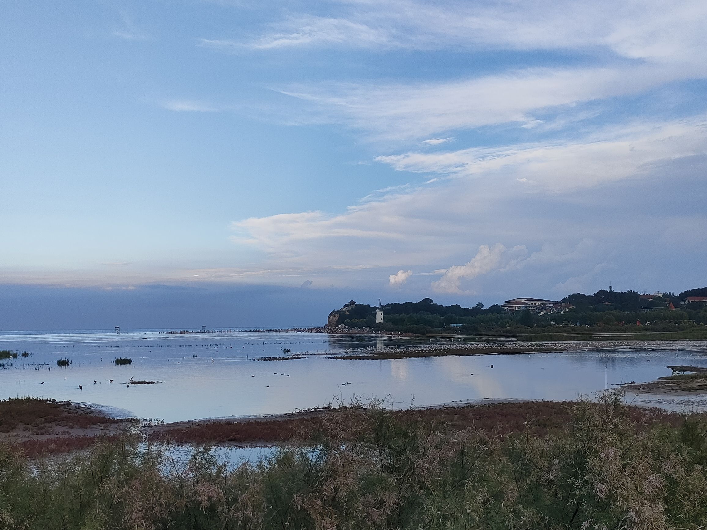观鸟湿地旅行图片 1