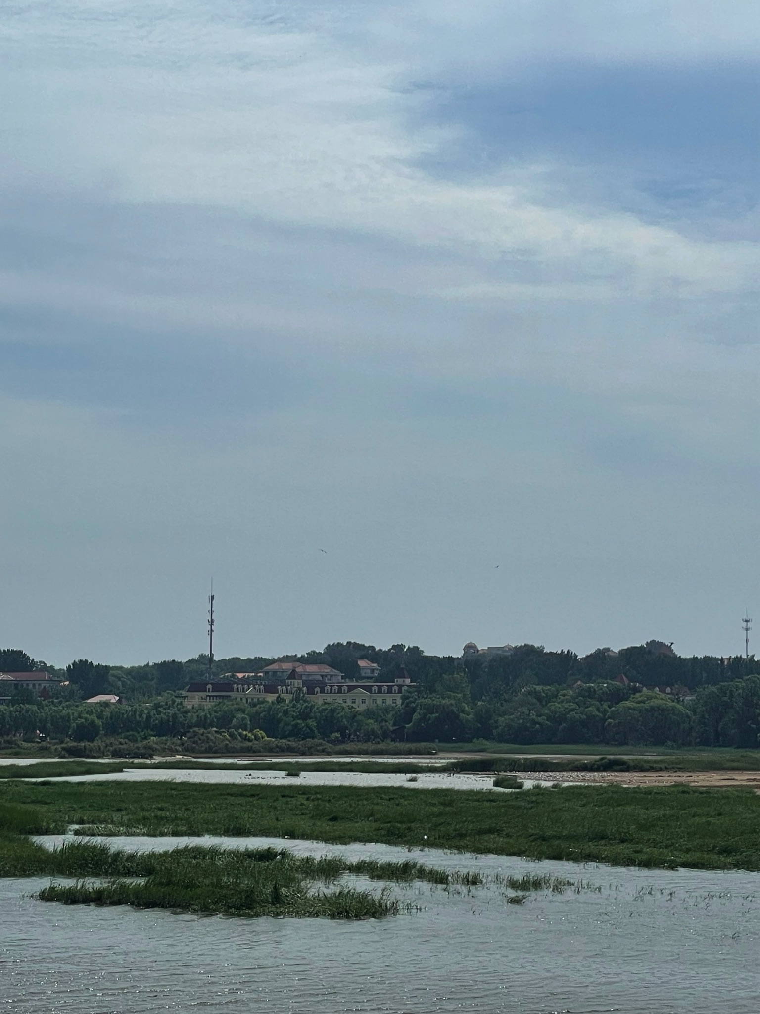 观鸟湿地旅行图片 1