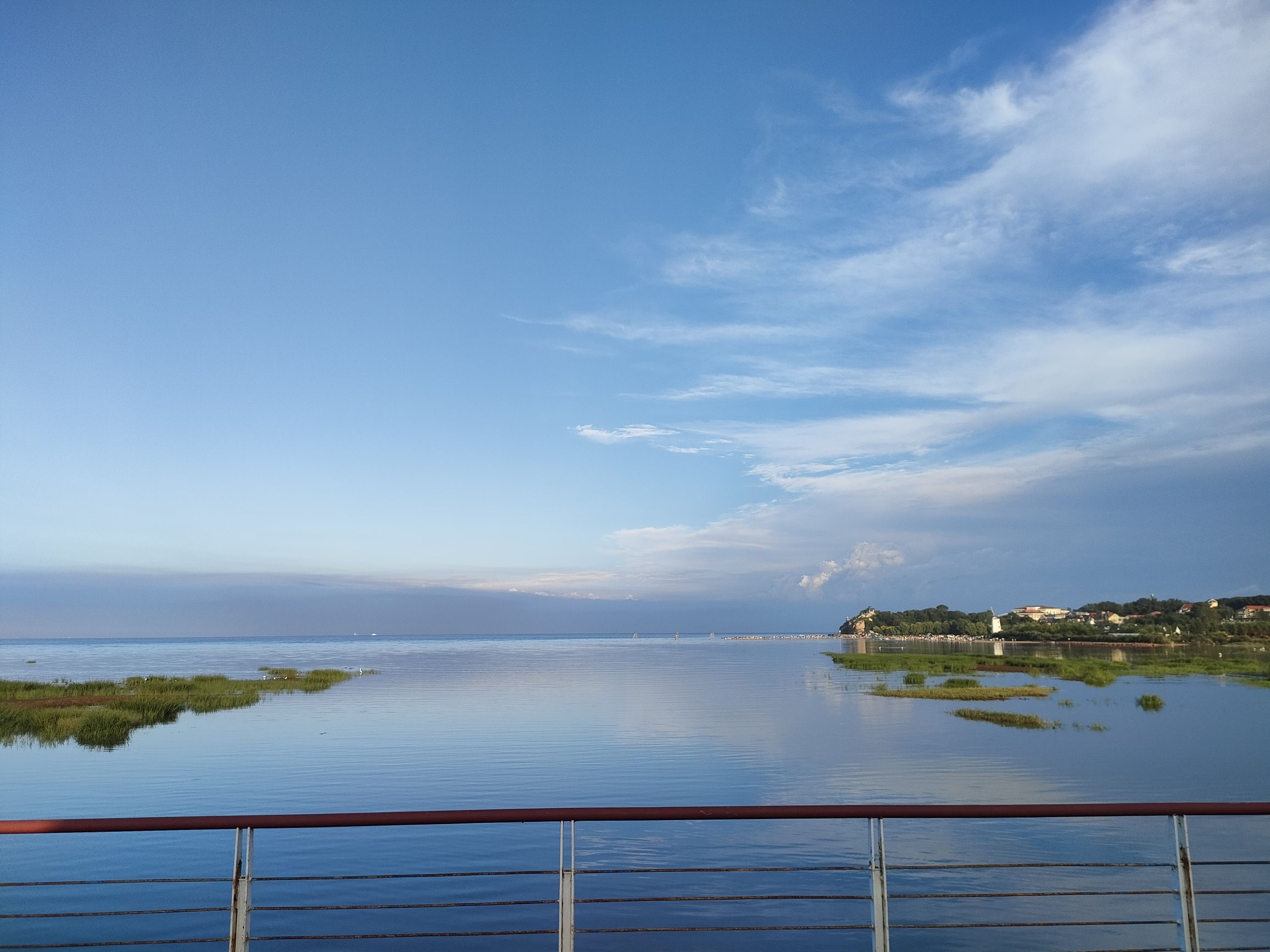观鸟湿地旅行图片 2