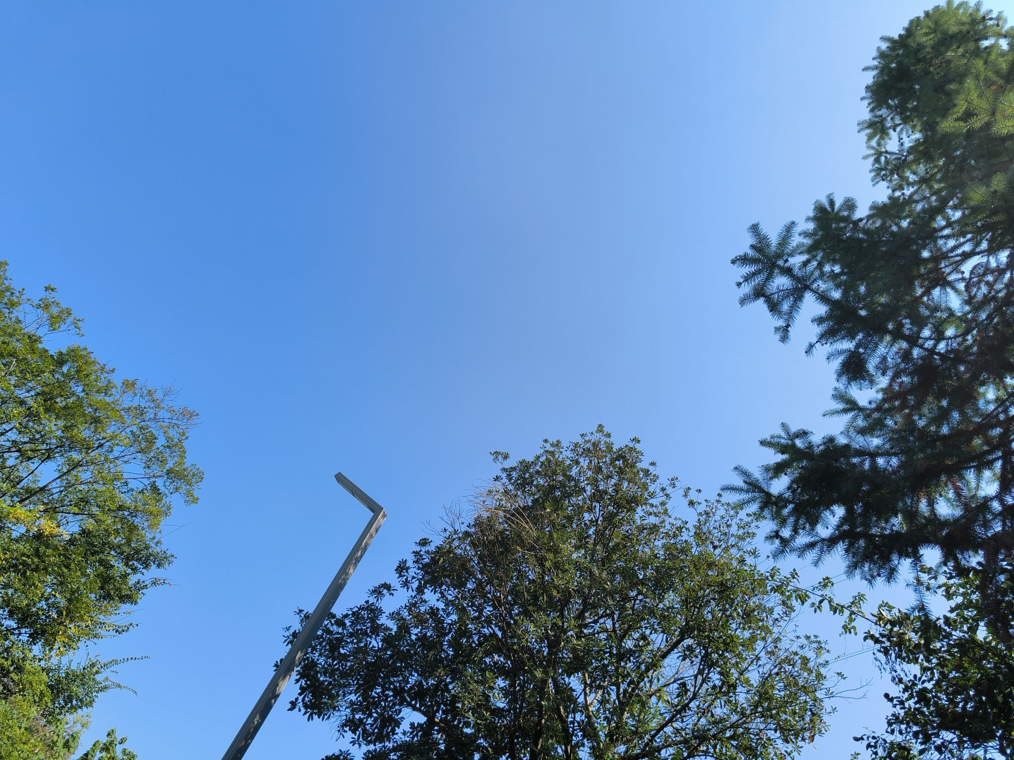 大坡气象公园旅行图片 3