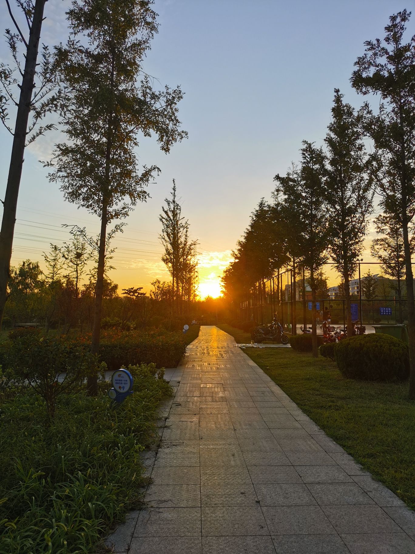龙王河湿地公园旅行图片 1