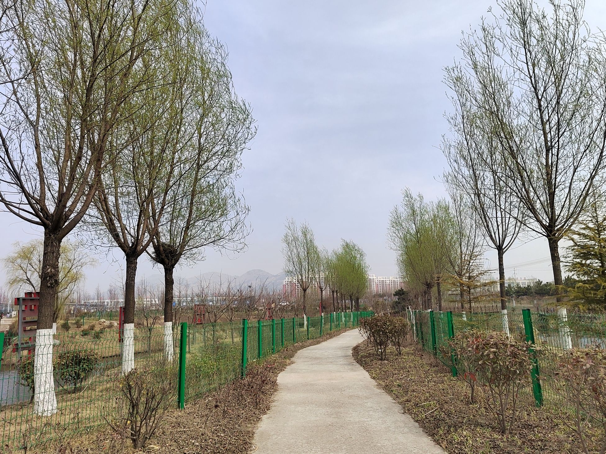 龙王河湿地公园旅行图片 2