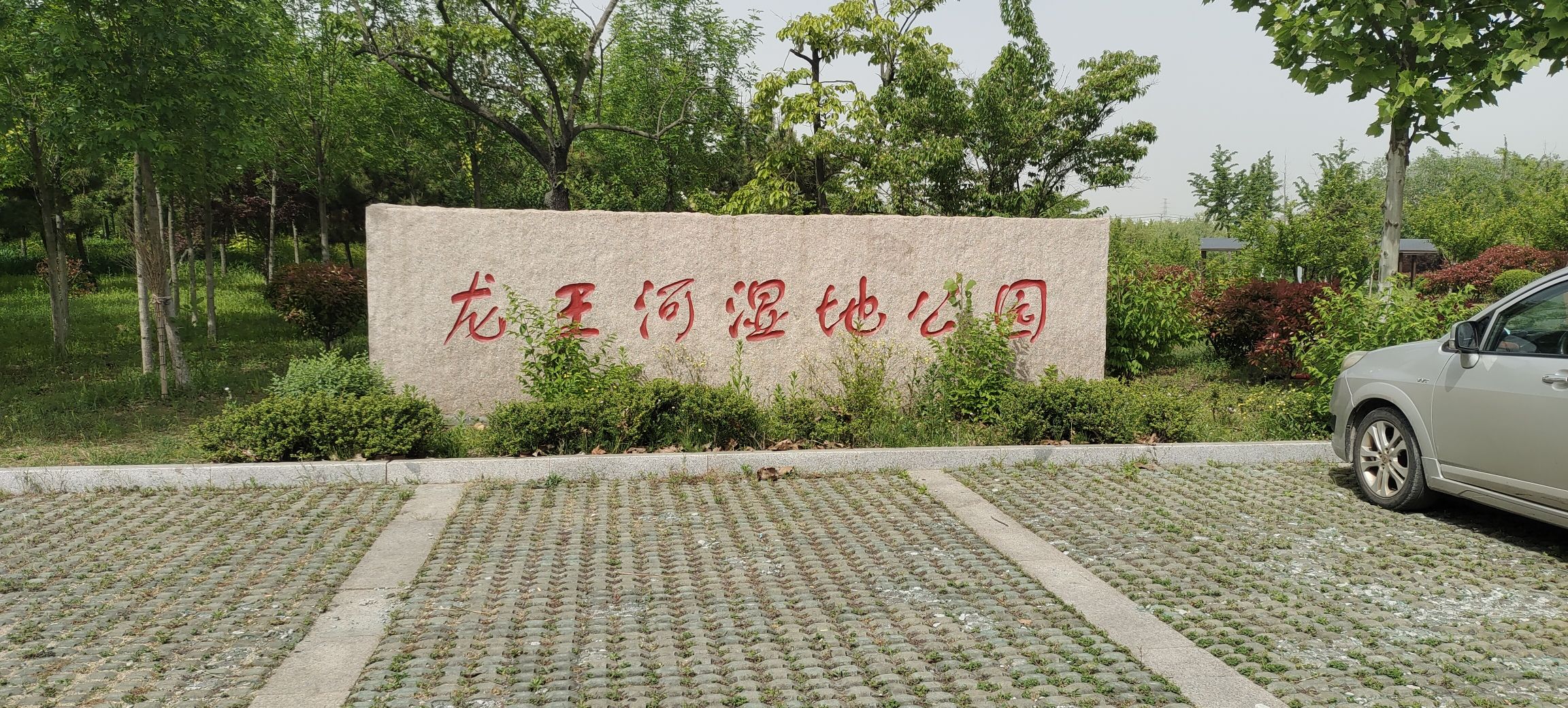 龙王河湿地公园旅行图片 1