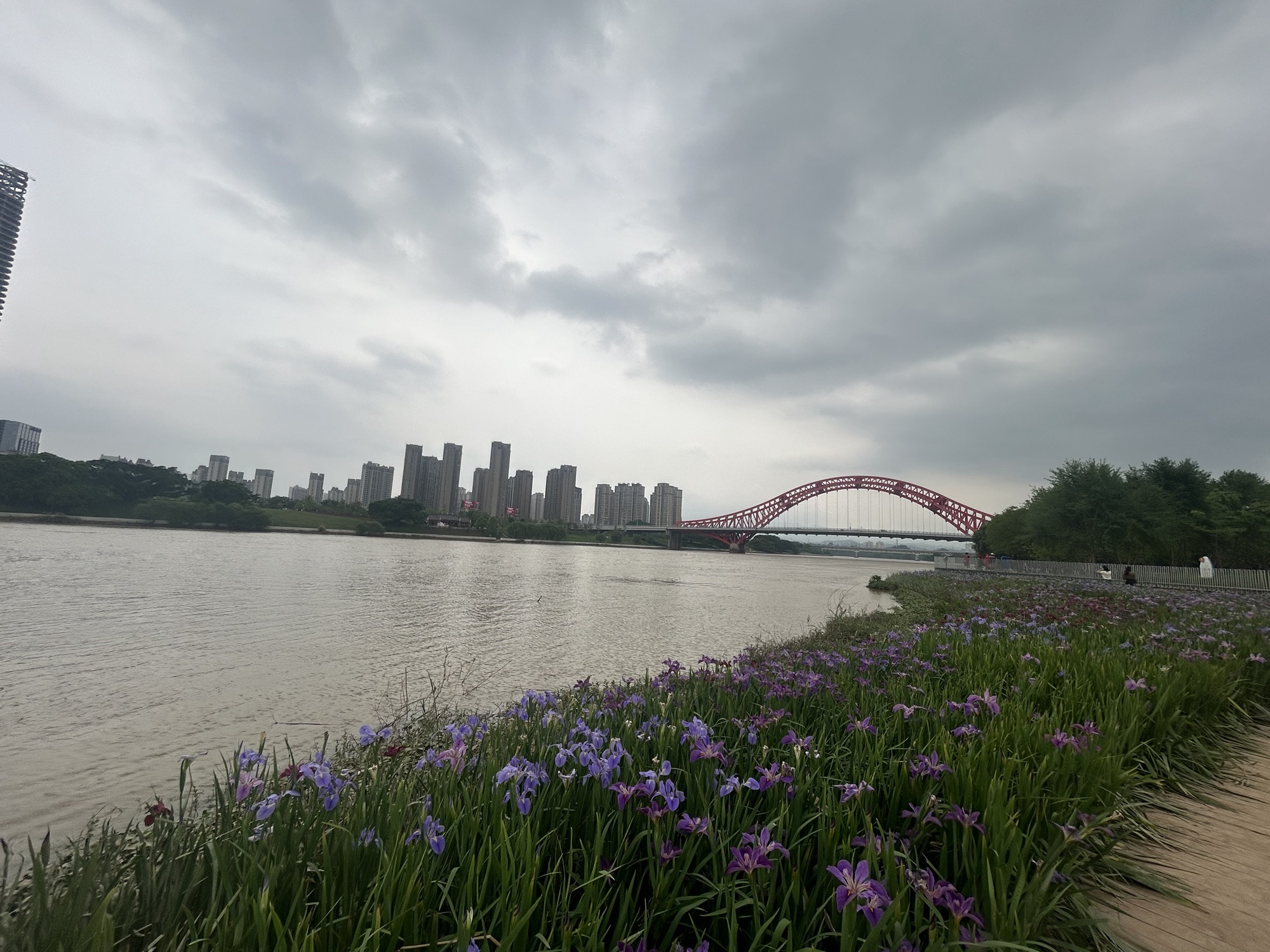 蓉江新区滨江公园旅行图片 2