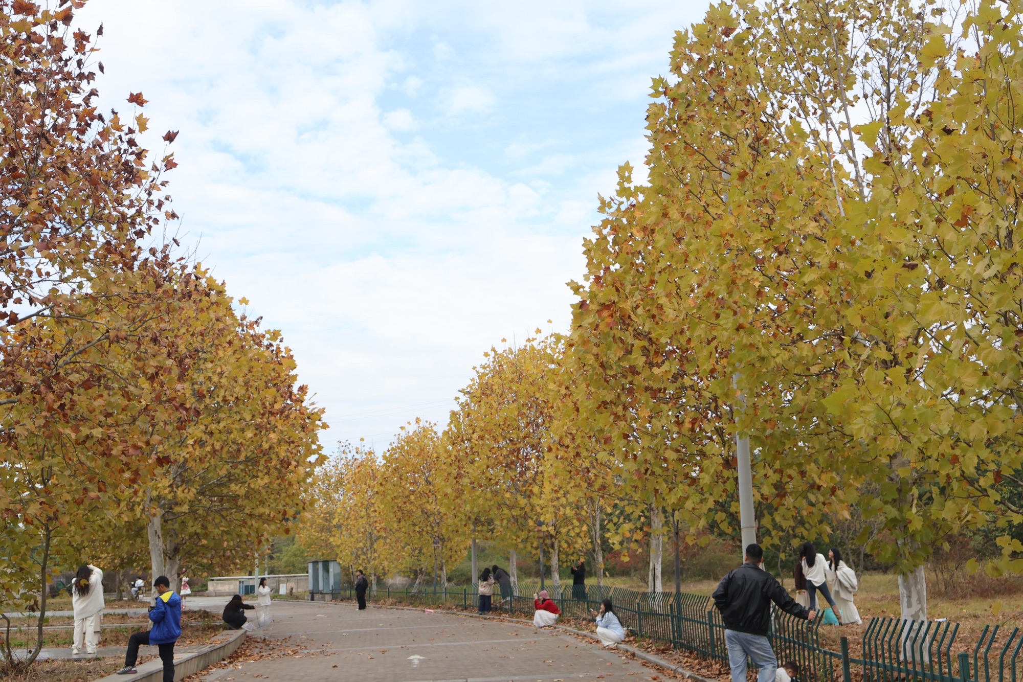 蓉江新区滨江公园旅行图片 2