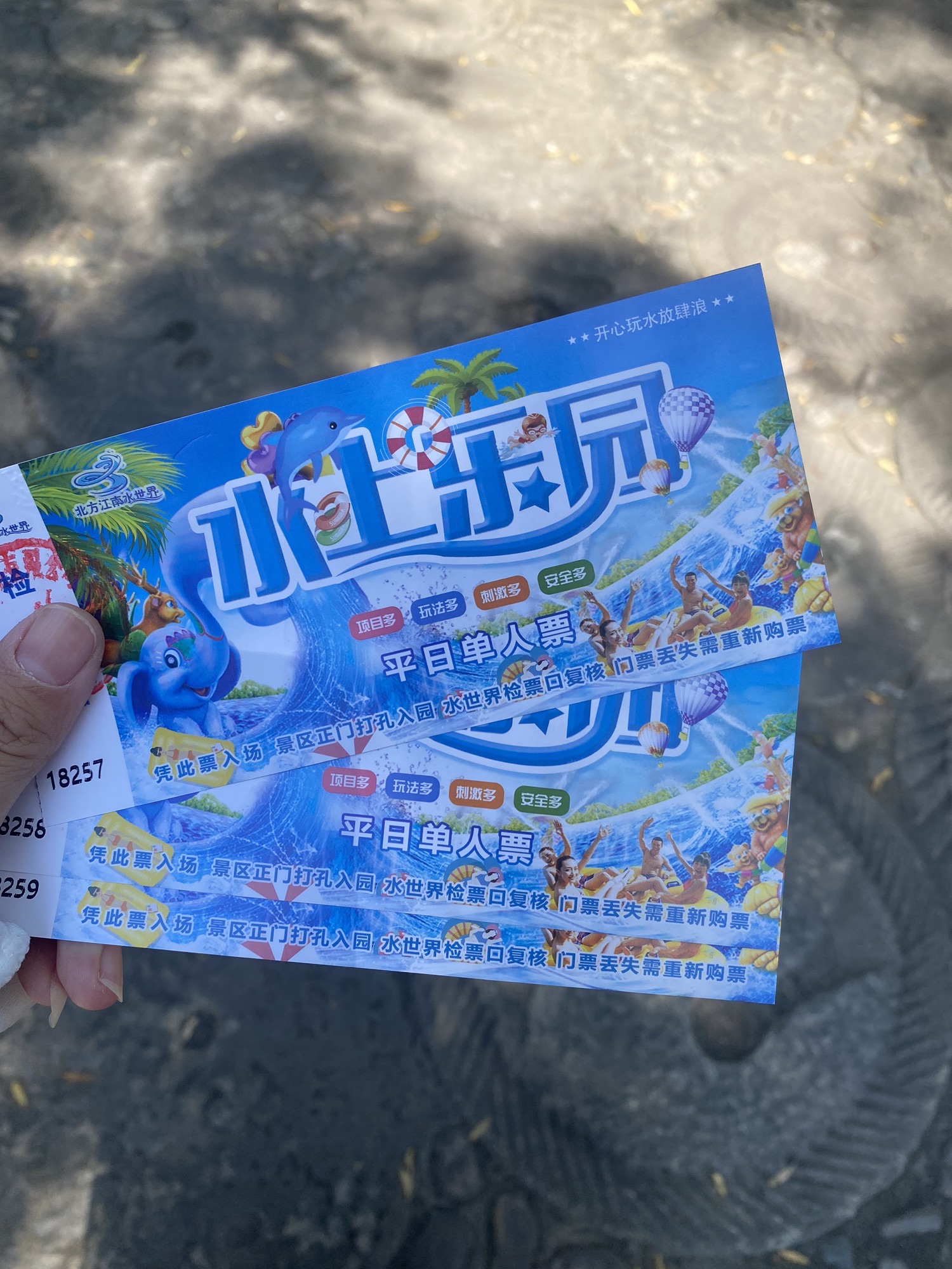 北方江南景区旅行图片 1
