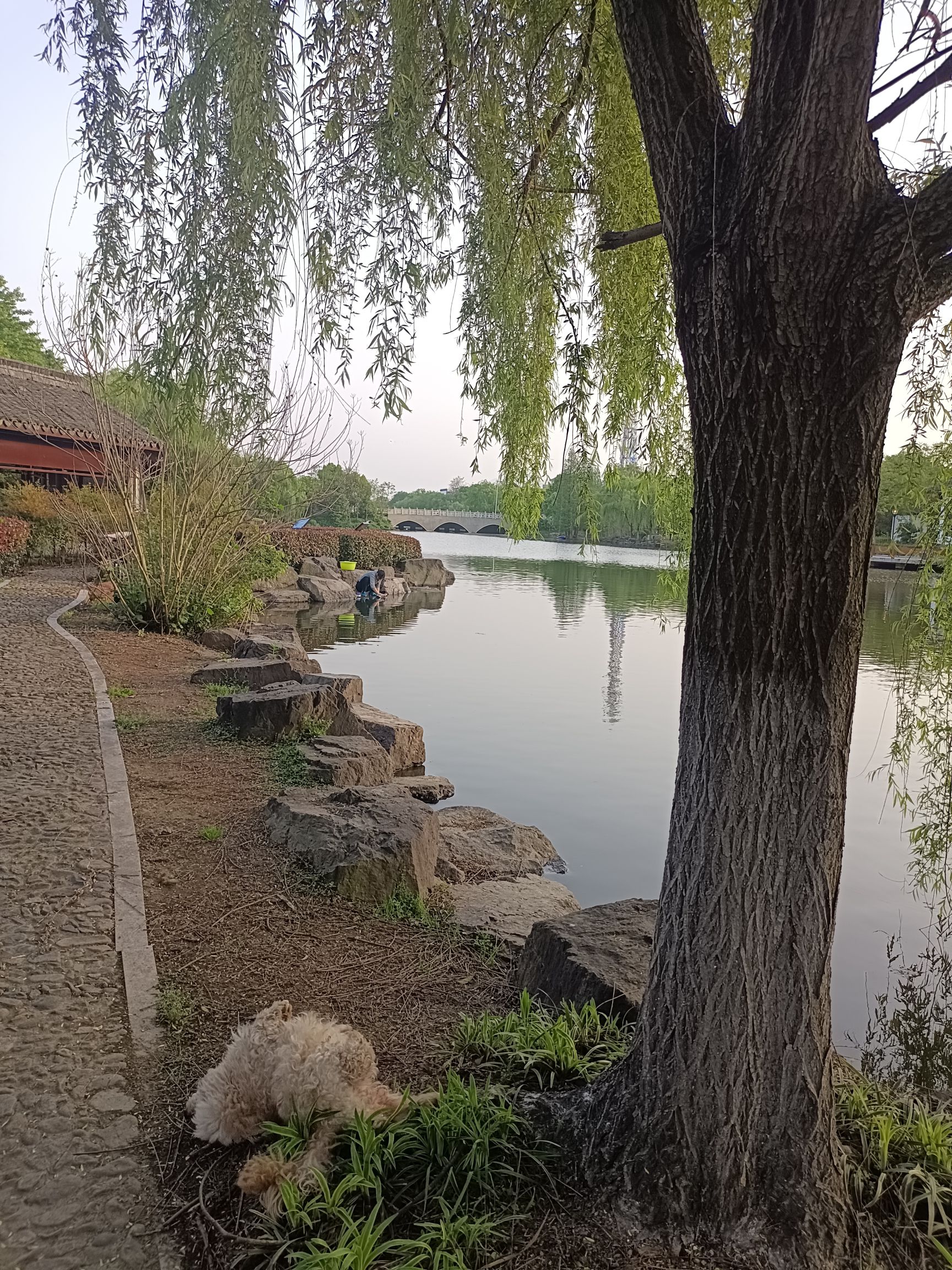 竹洞湖公园旅行图片 2
