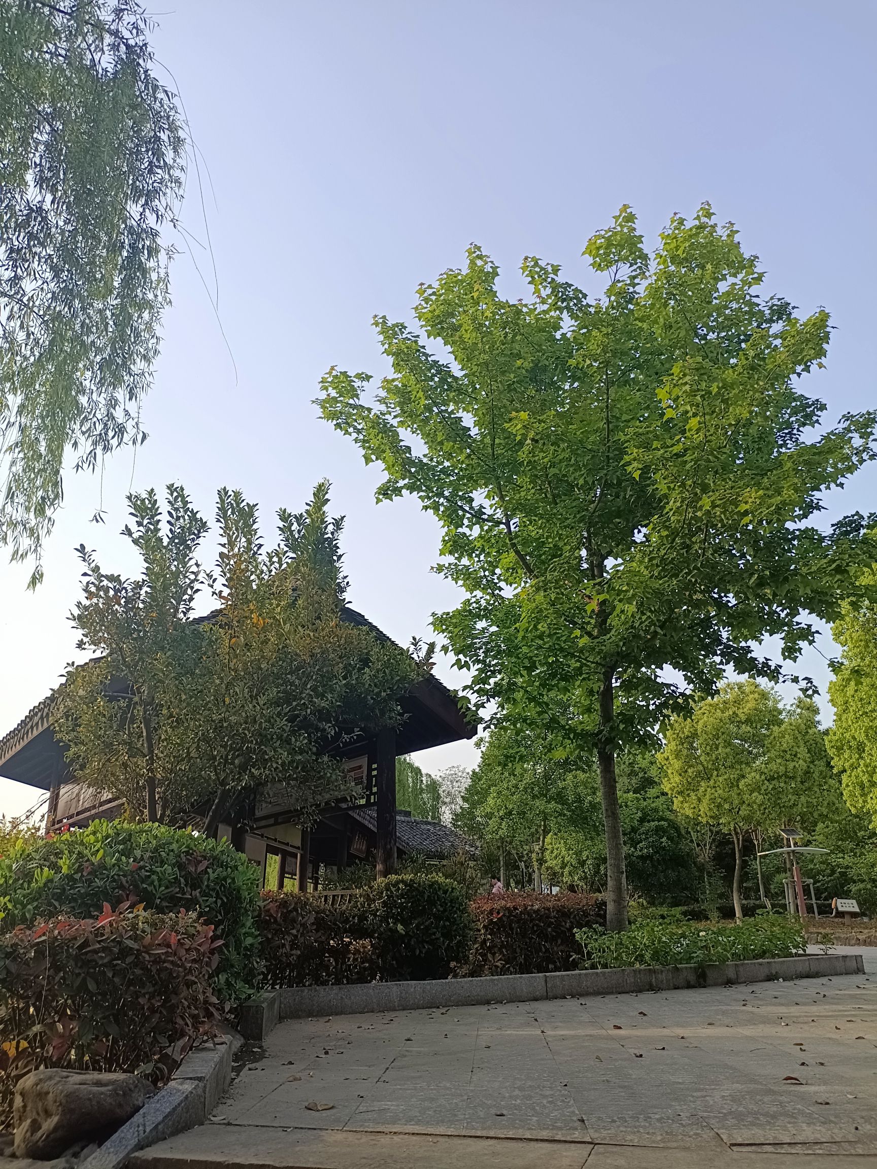 竹洞湖公园旅行图片 3