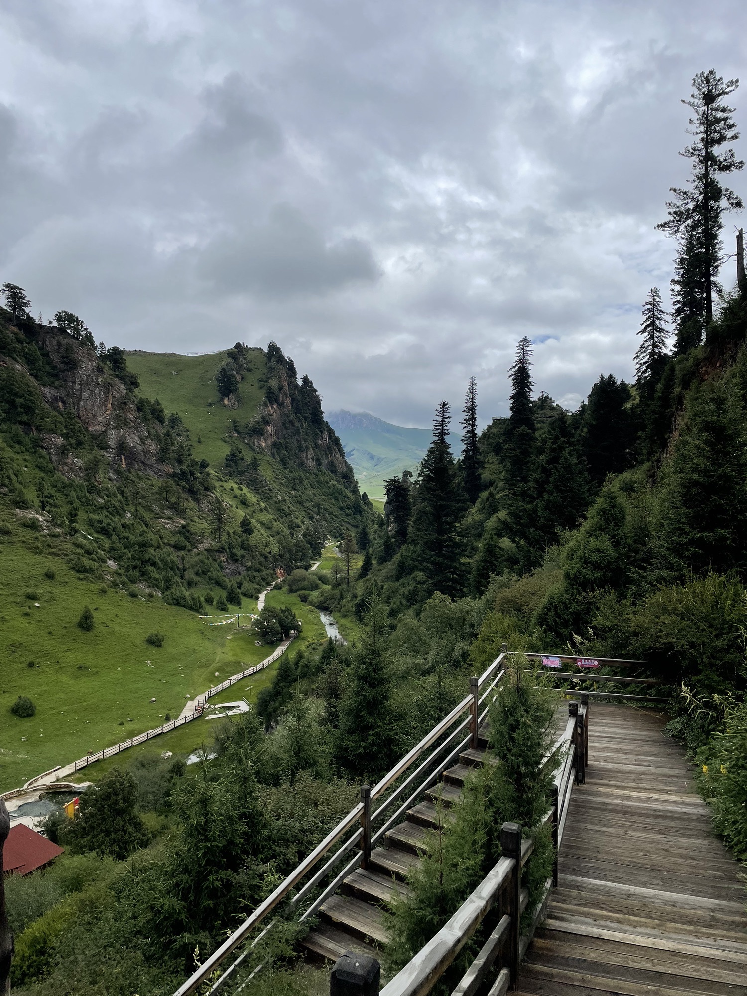 若尔盖河它温泉谷(暂停开放)旅行图片 2
