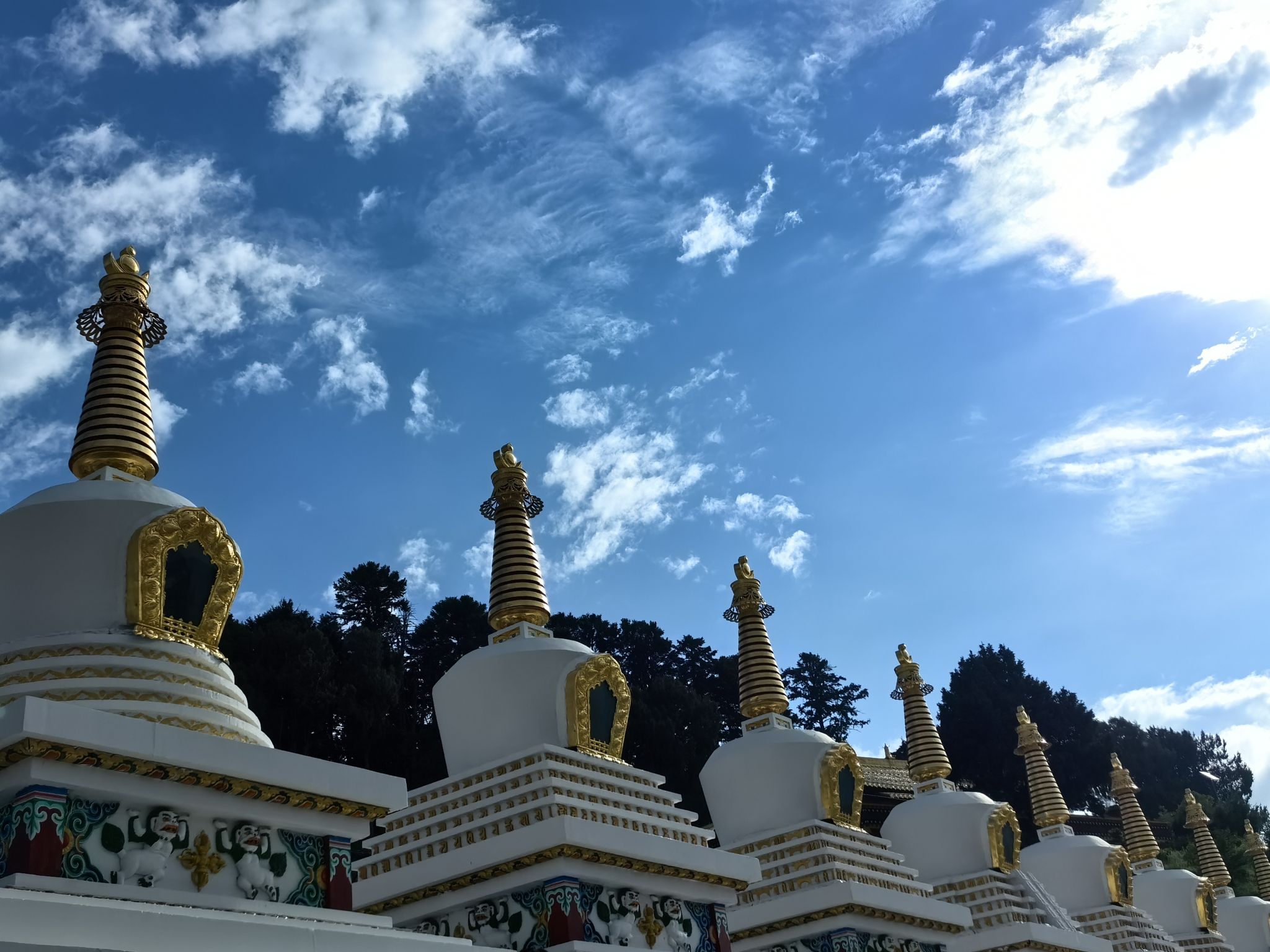 若尔盖河它温泉谷(暂停开放)旅行图片 3