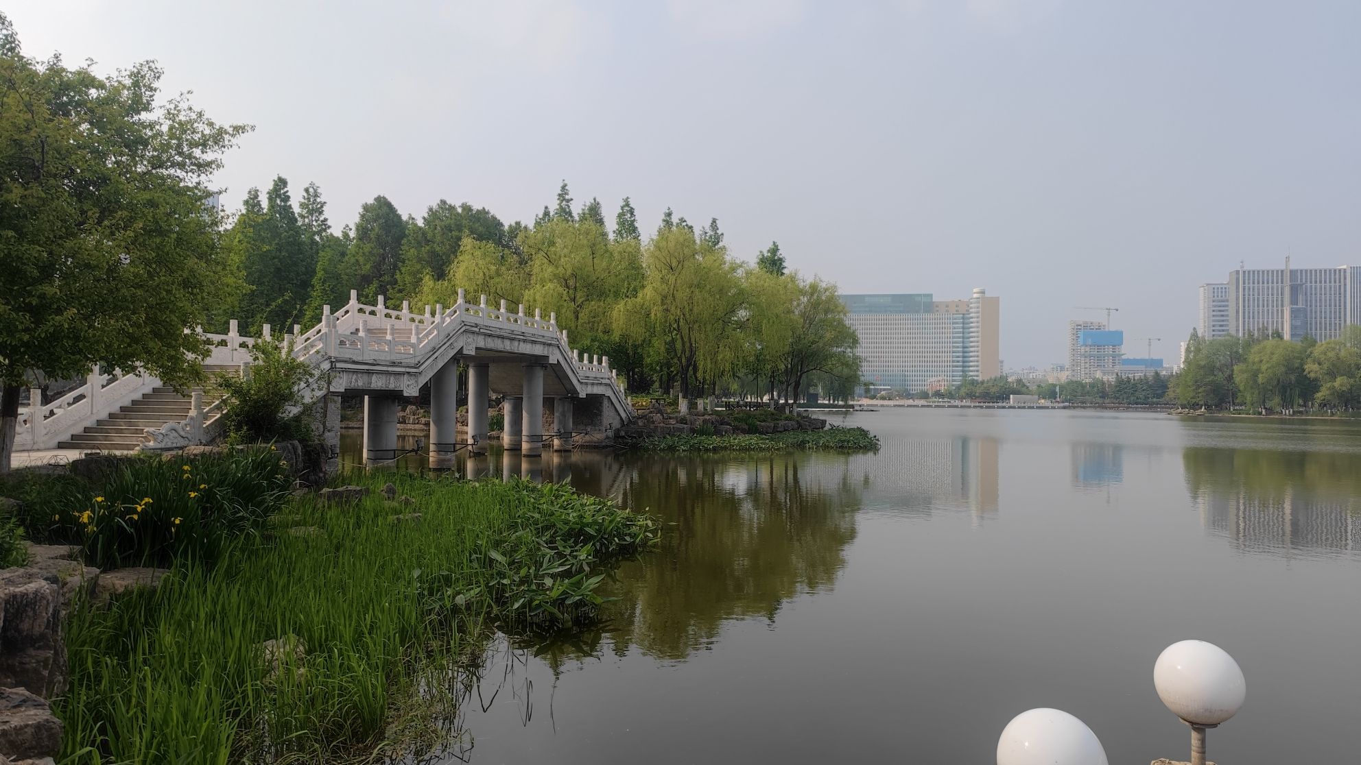 榉树广场