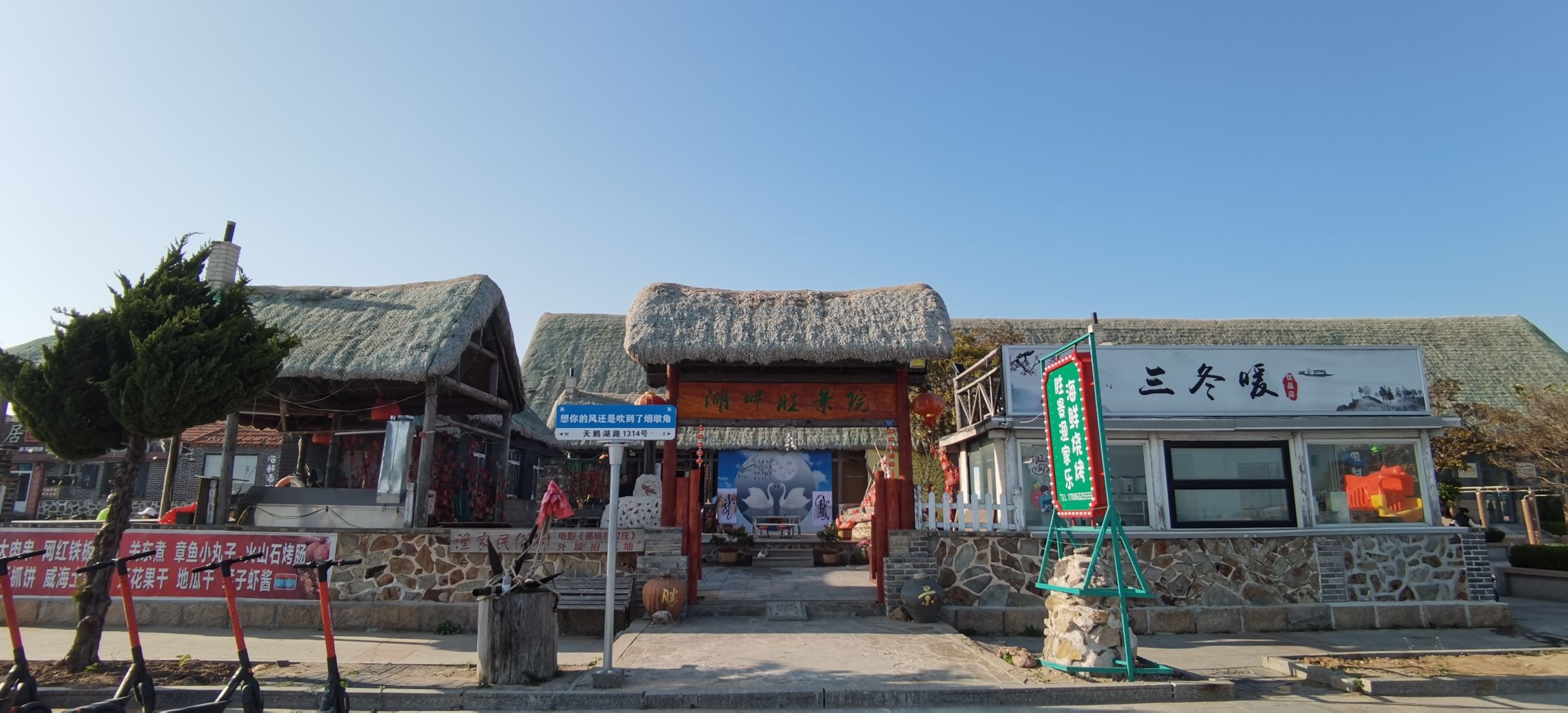 烟墩角天鹅海景区旅行图片 3