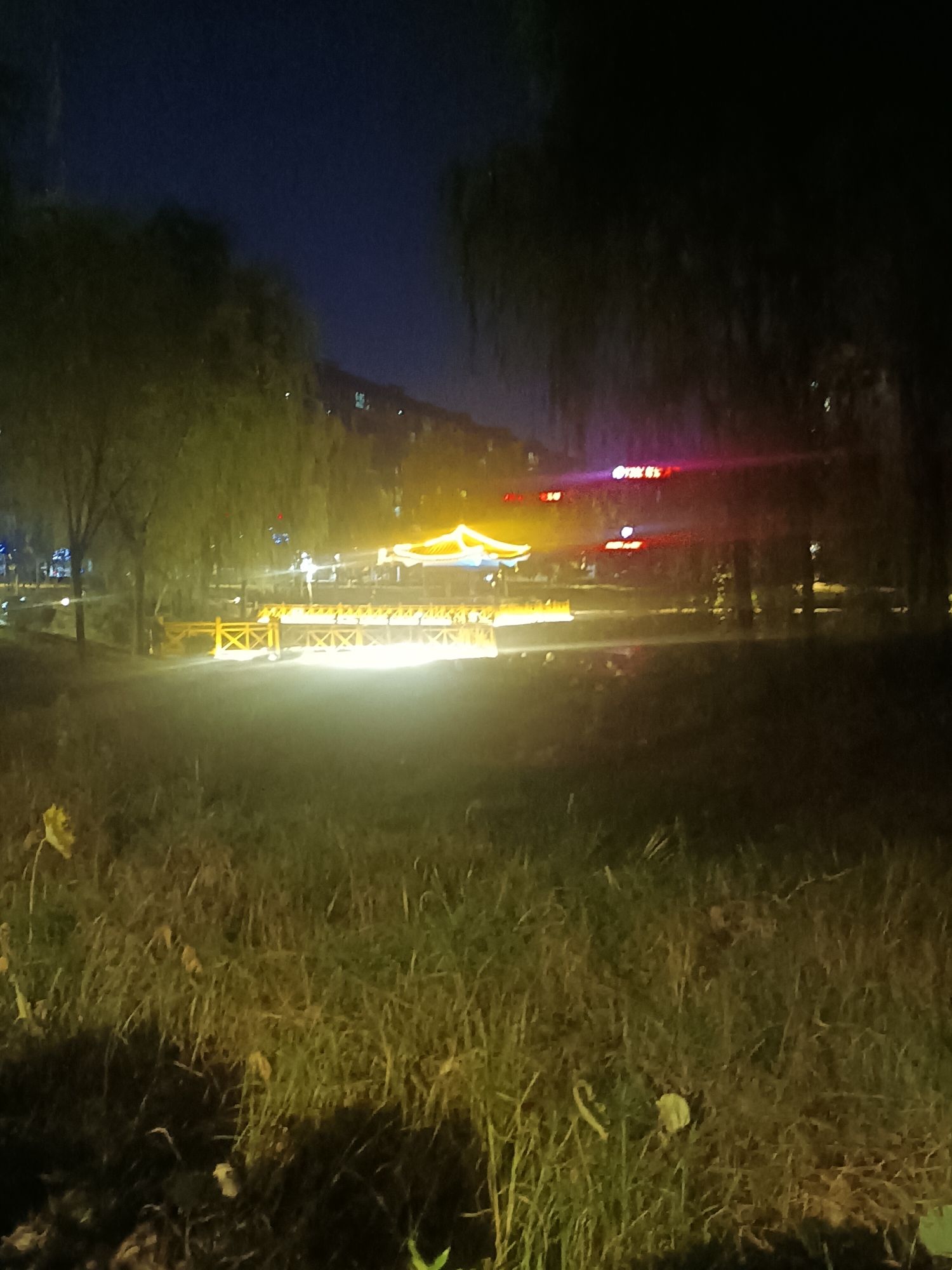 小西湖公园旅行图片 2