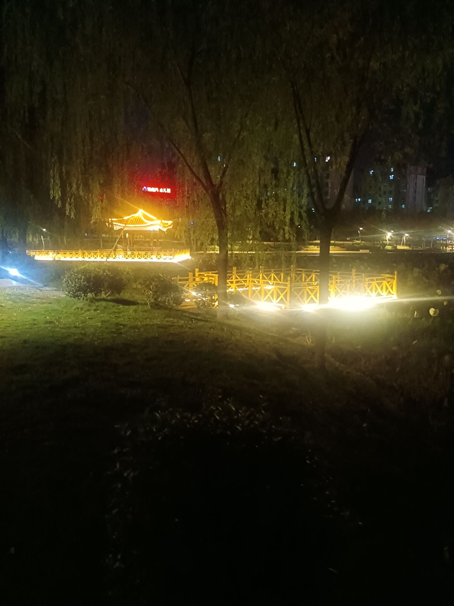 小西湖公园旅行图片 3