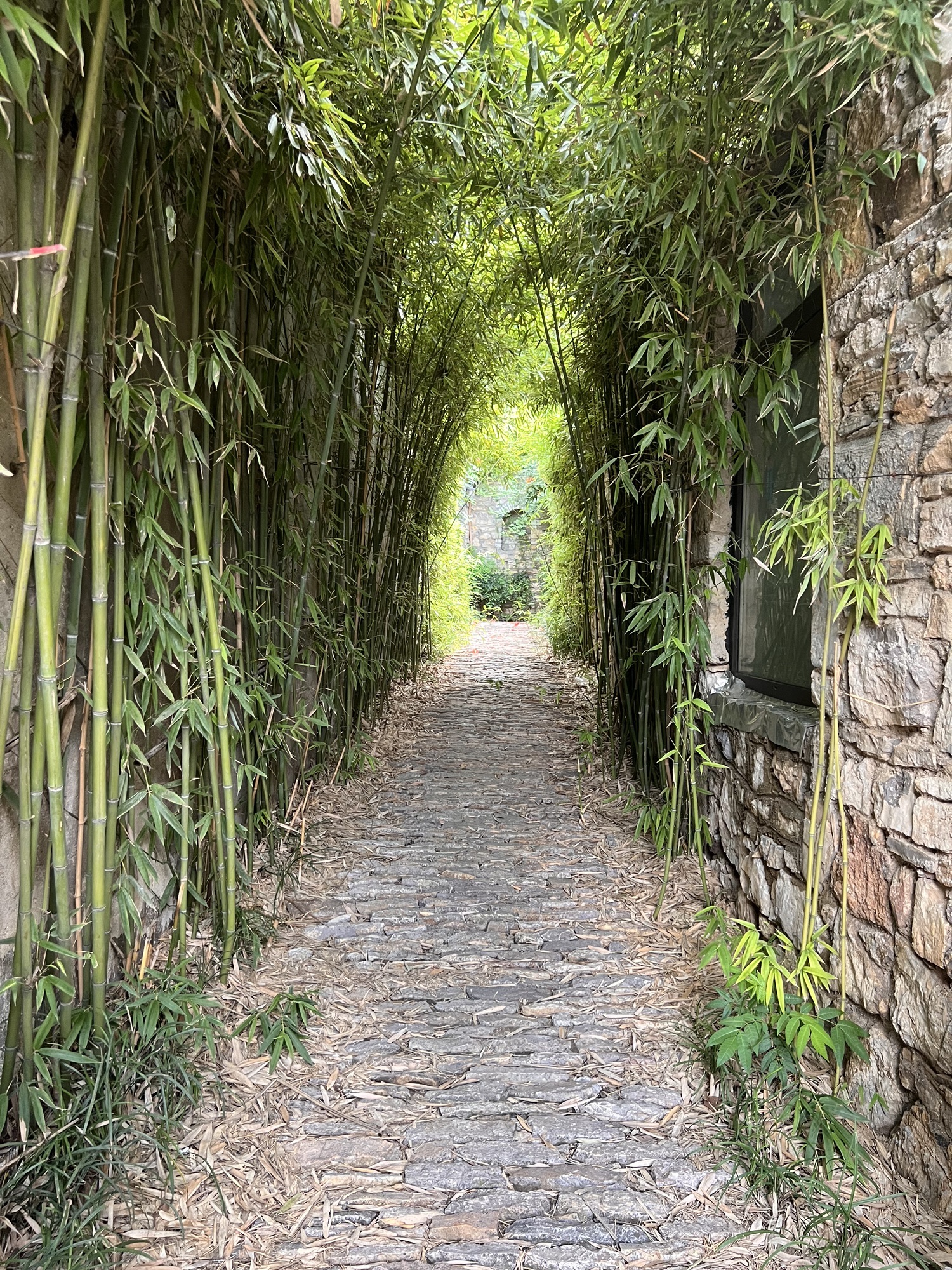 汶口古镇旅行图片 1