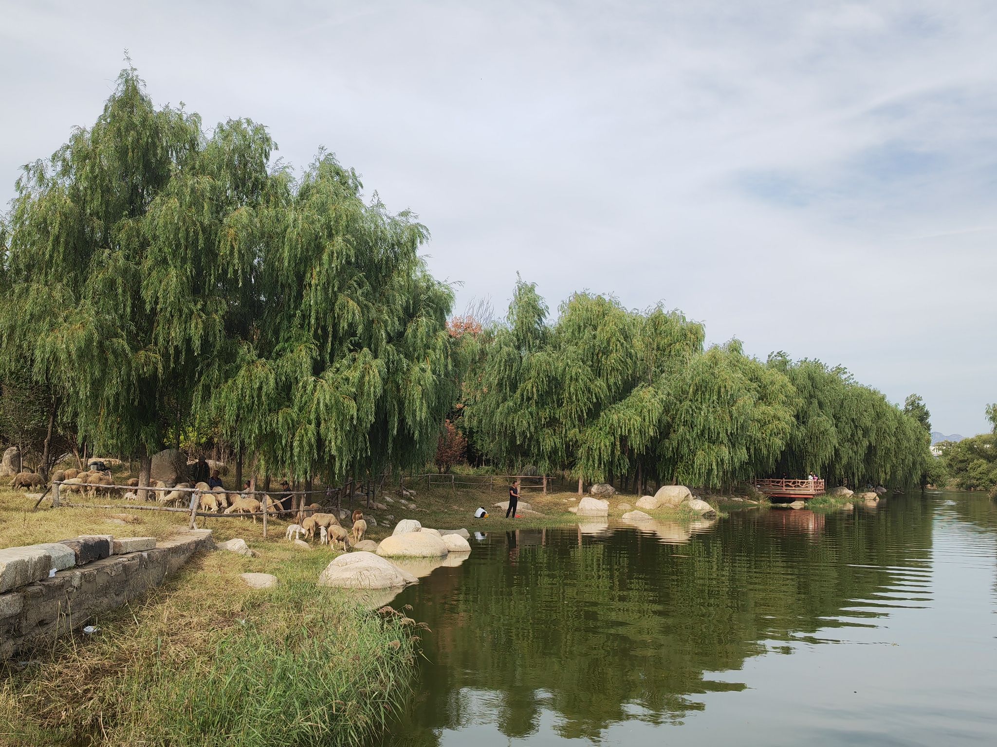汶口古镇旅行图片 3