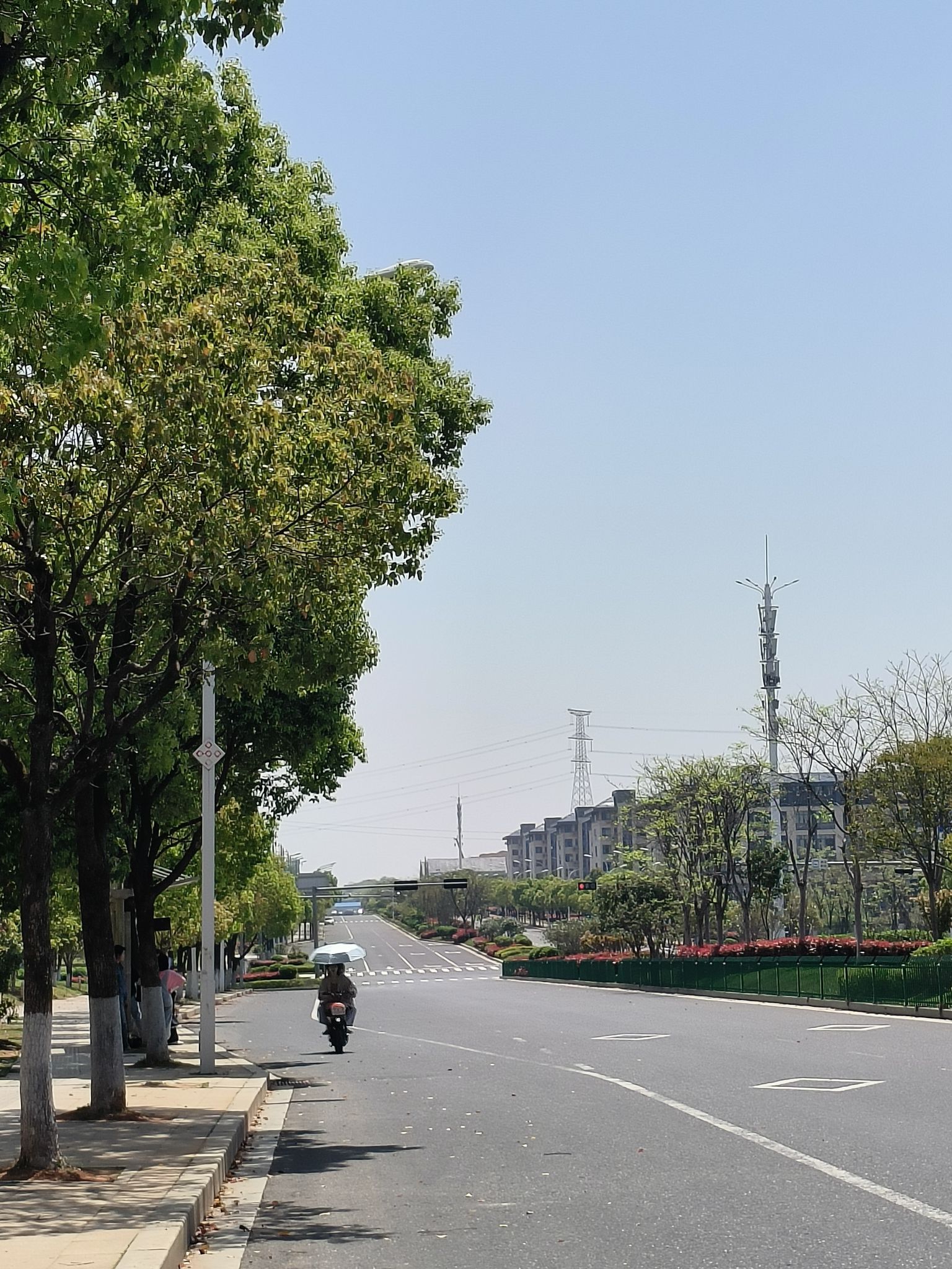 富华公园旅行图片 3