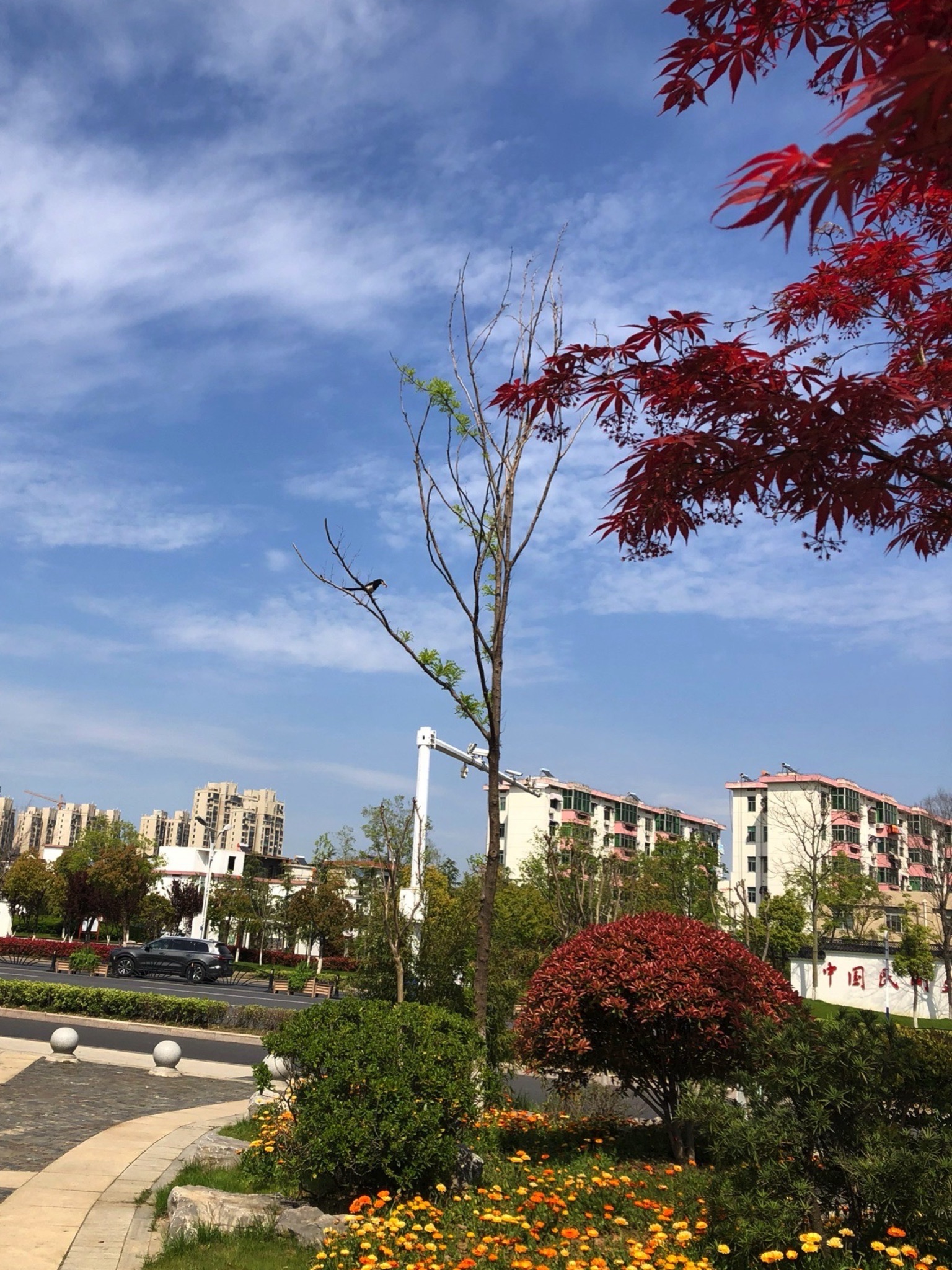 伴园公园旅行图片 3