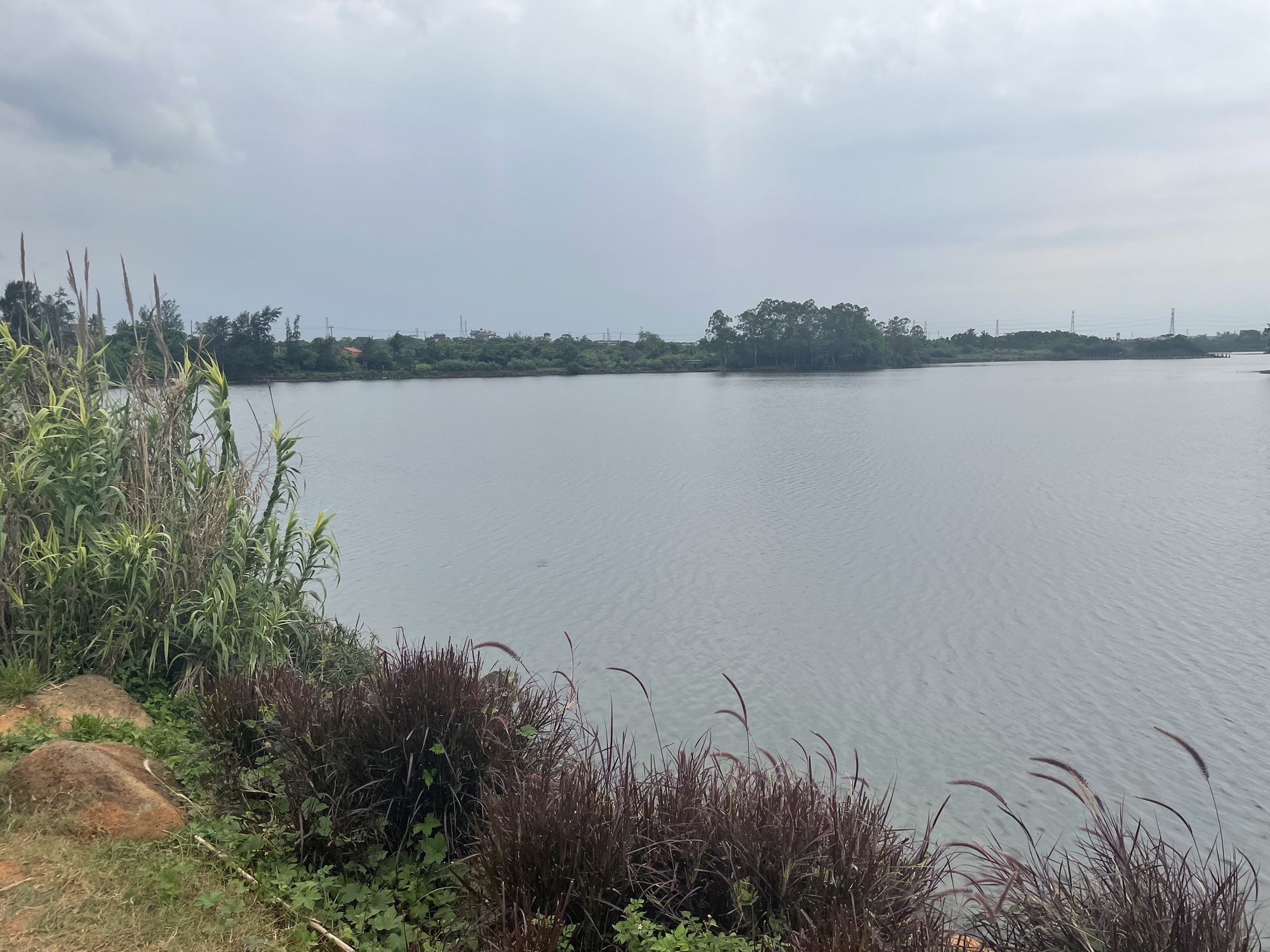 沙坡郊野湿地公园旅行图片 2