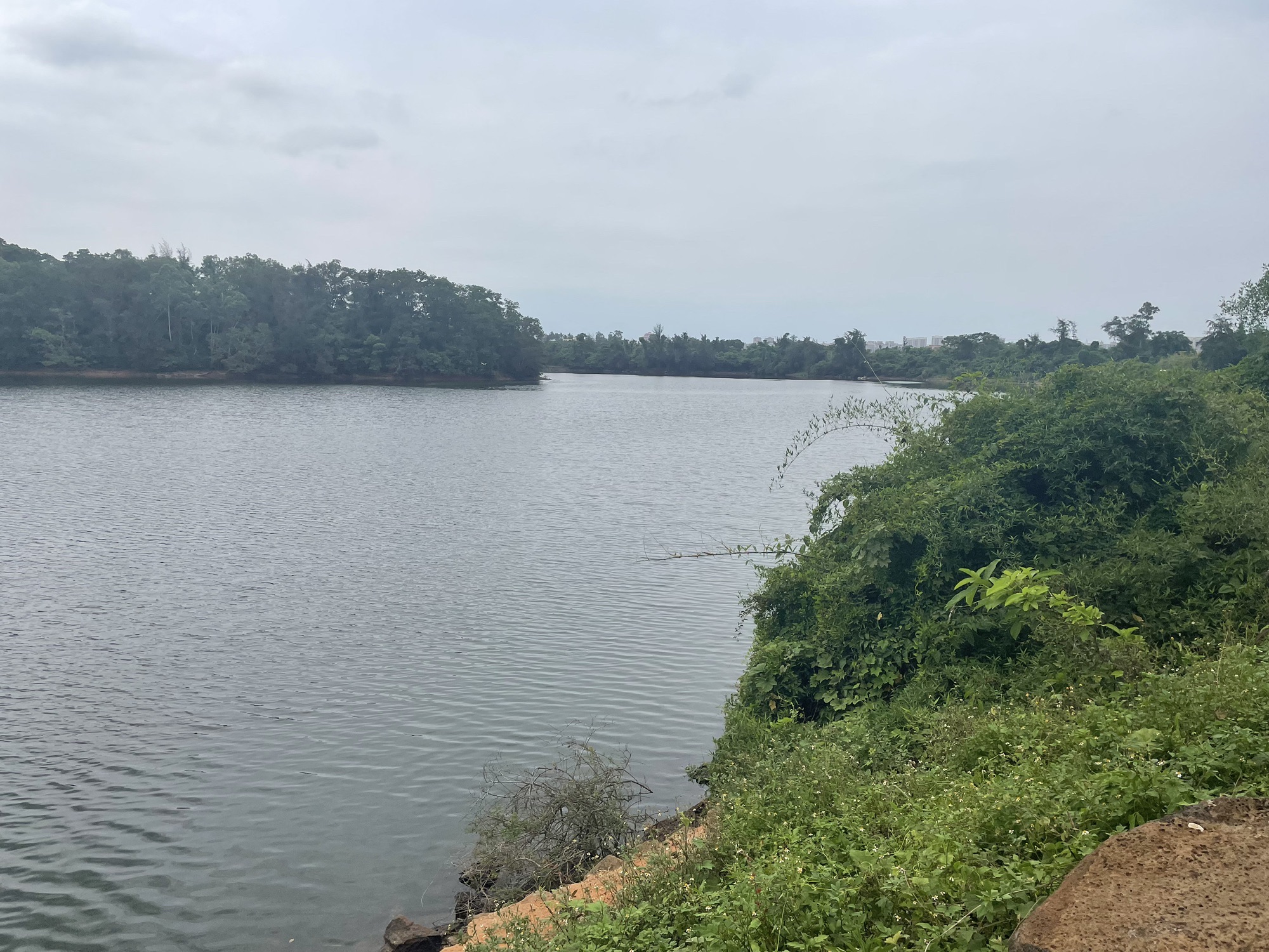 沙坡郊野湿地公园旅行图片 3