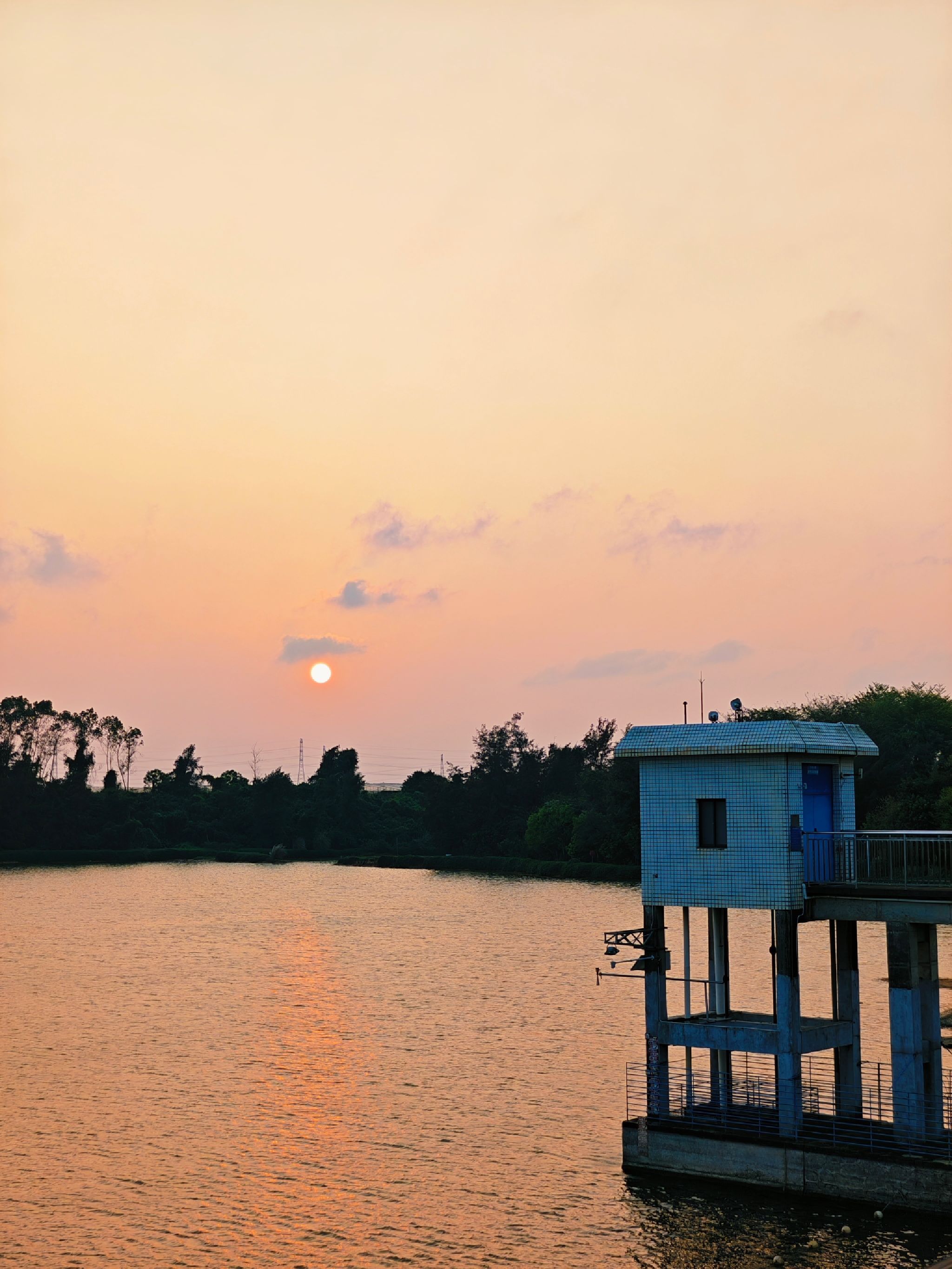 沙坡郊野湿地公园旅行图片 1