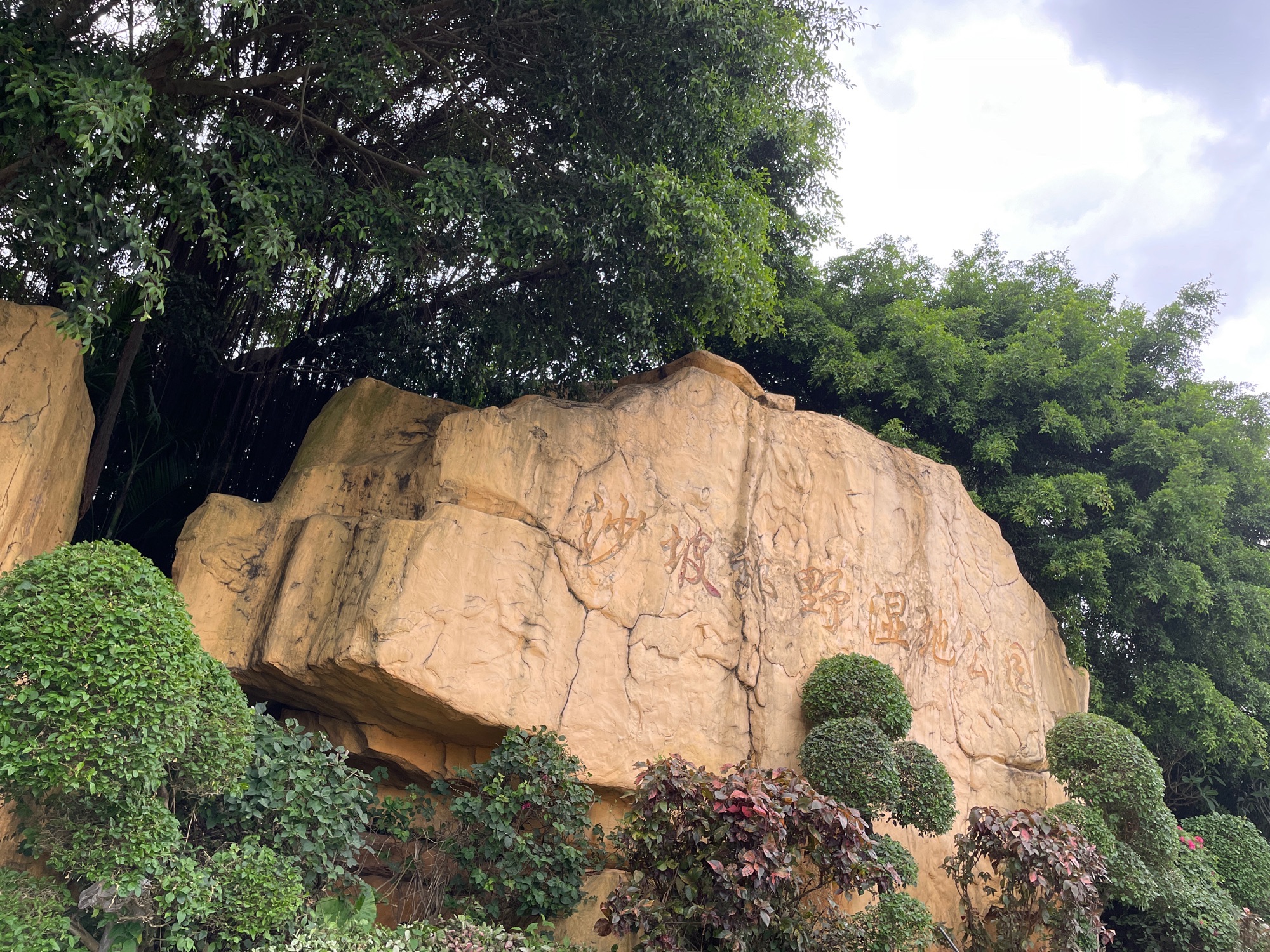 沙坡郊野湿地公园旅行图片 1
