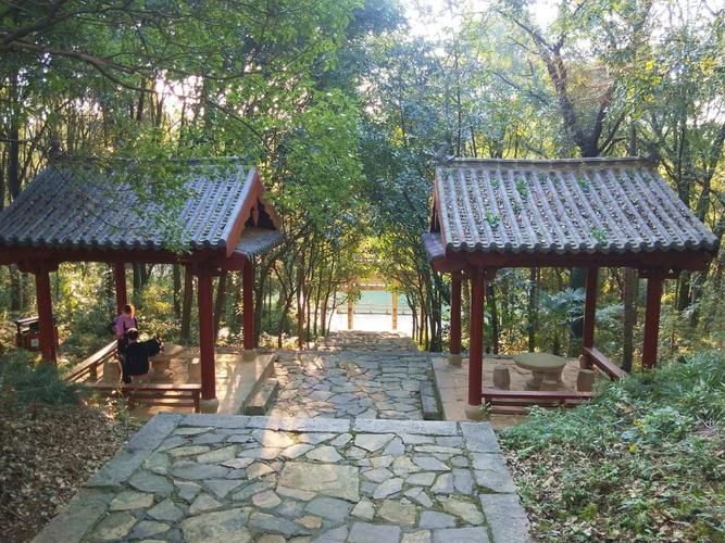 龙开故道公园旅行图片 1